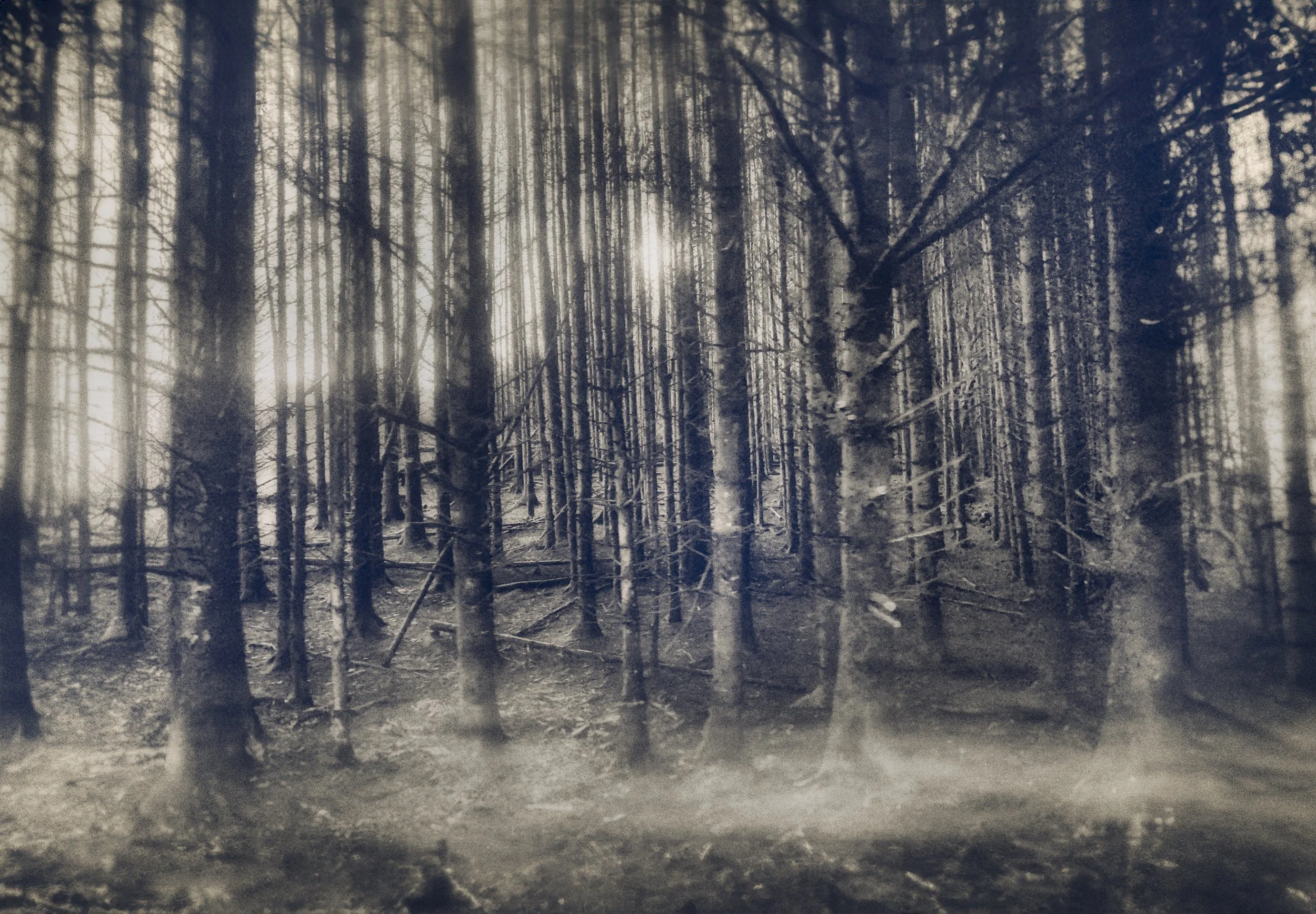 20240104 (Print File) United Kingdom 0158.jpg