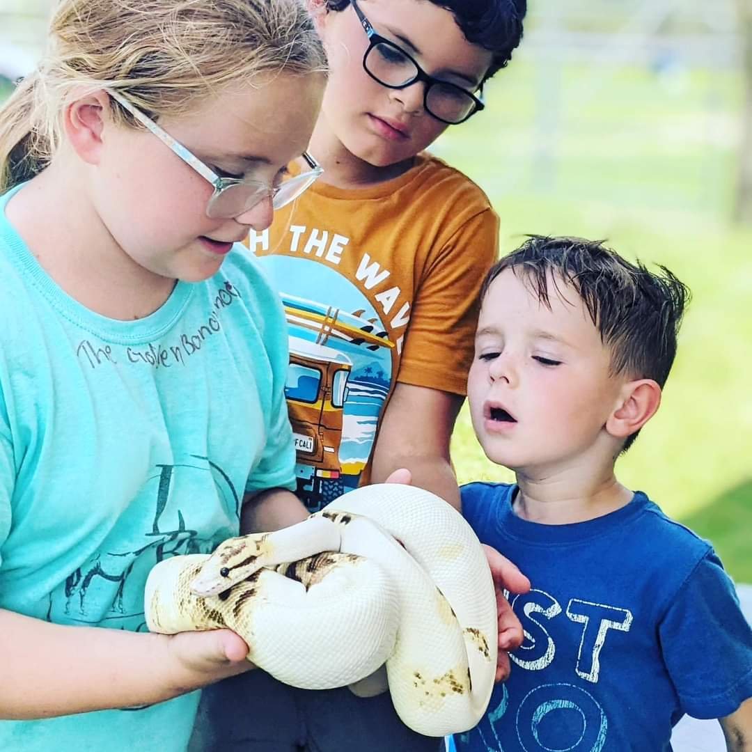 Three children looking at and holding a large, white snake outdoors.