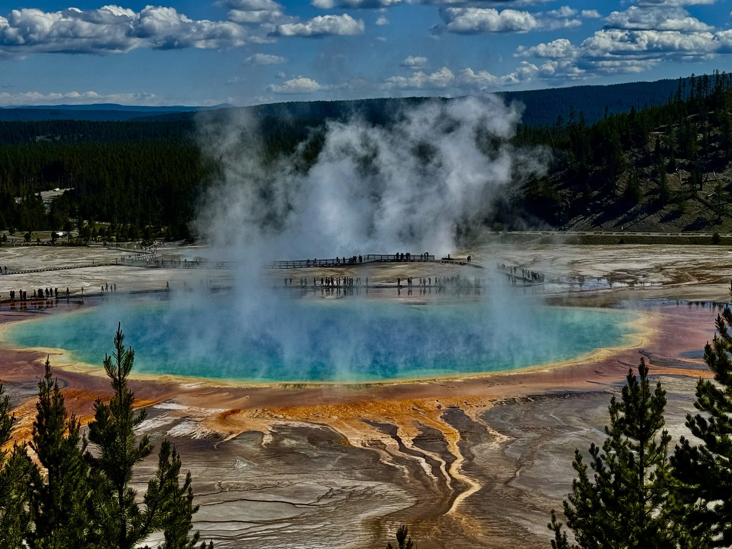 Yellowstone Half Day Hot Spots!