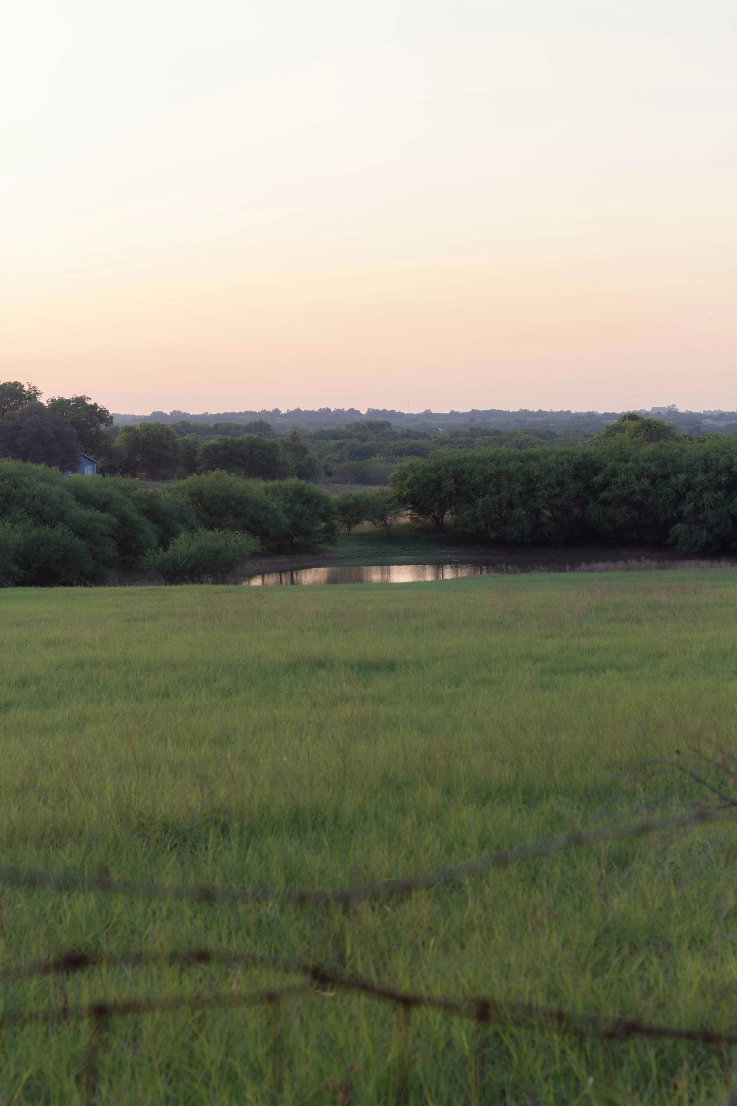 Scenic view of a lush green field with trees, a small pond, and a blue building in the distance under a pastel sky at sunset or sunrise.