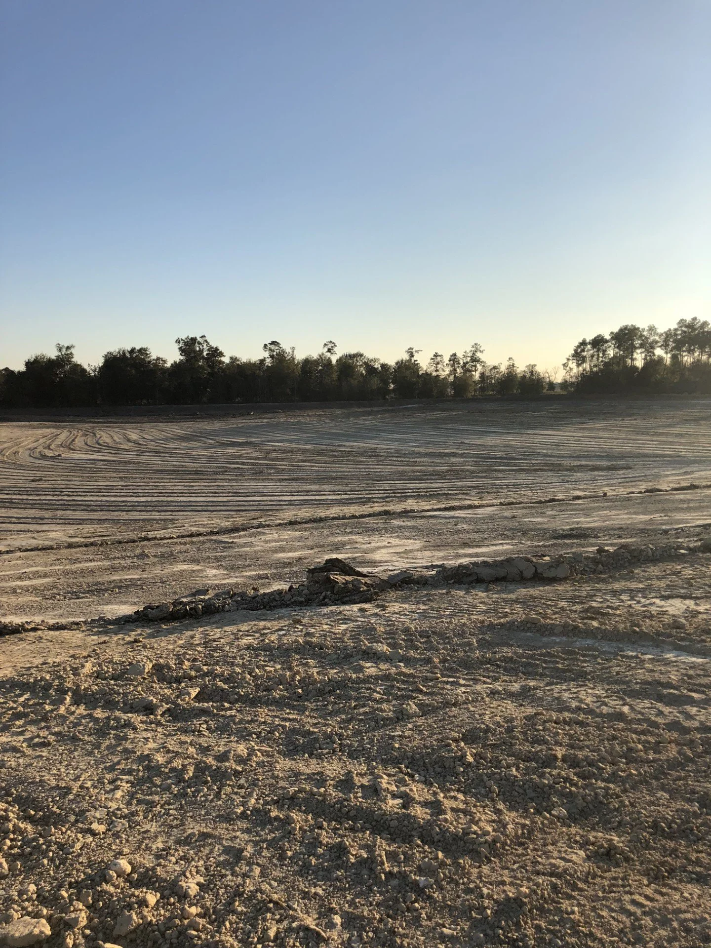 Empty, cleared land with visible tire tracks and a small pile of dirt or rocks in the foreground, with a line of trees in the background under a clear blue sky.