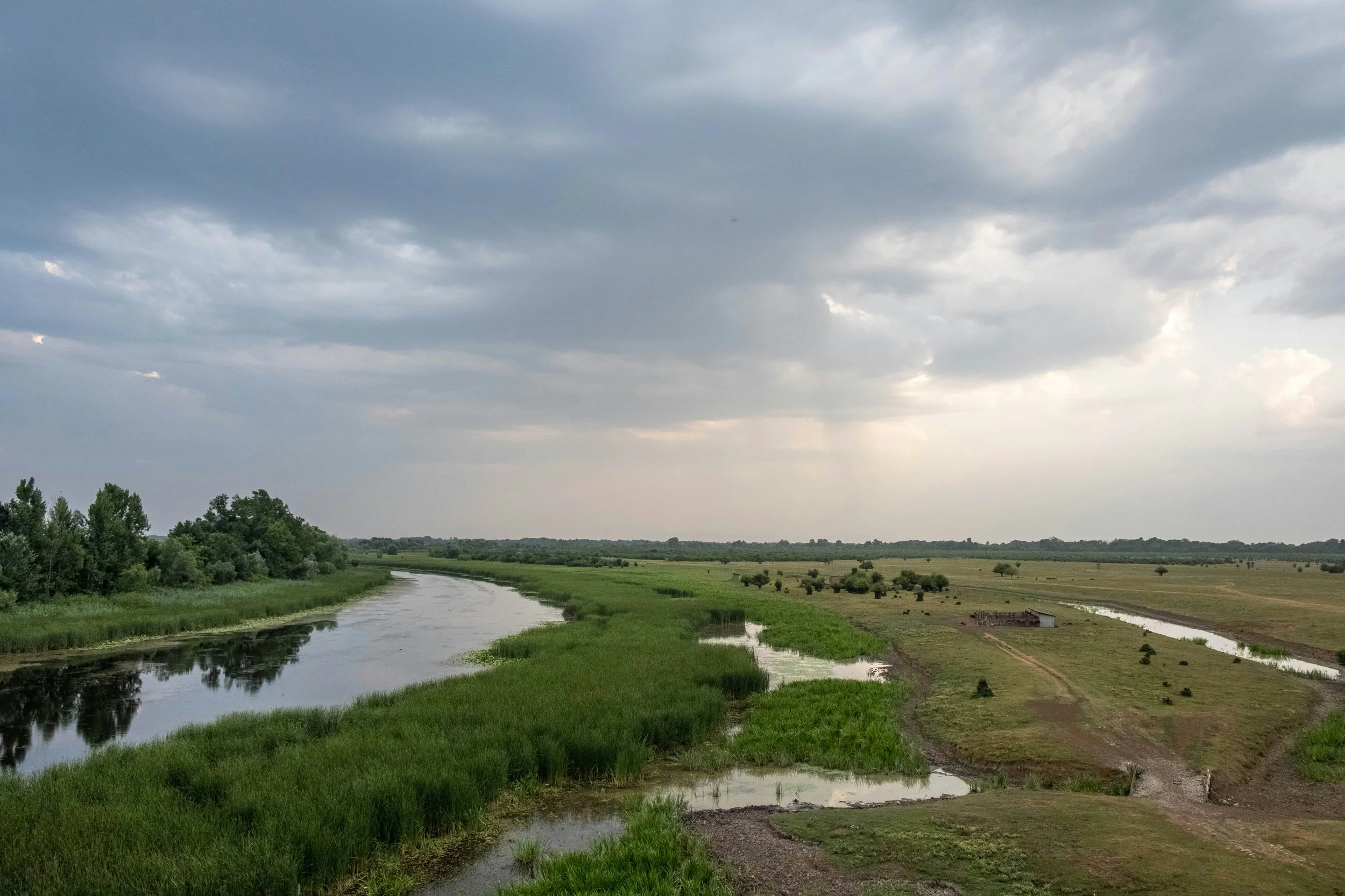 A rural landscape with a winding river, green fields, and scattered trees under a cloudy sky.