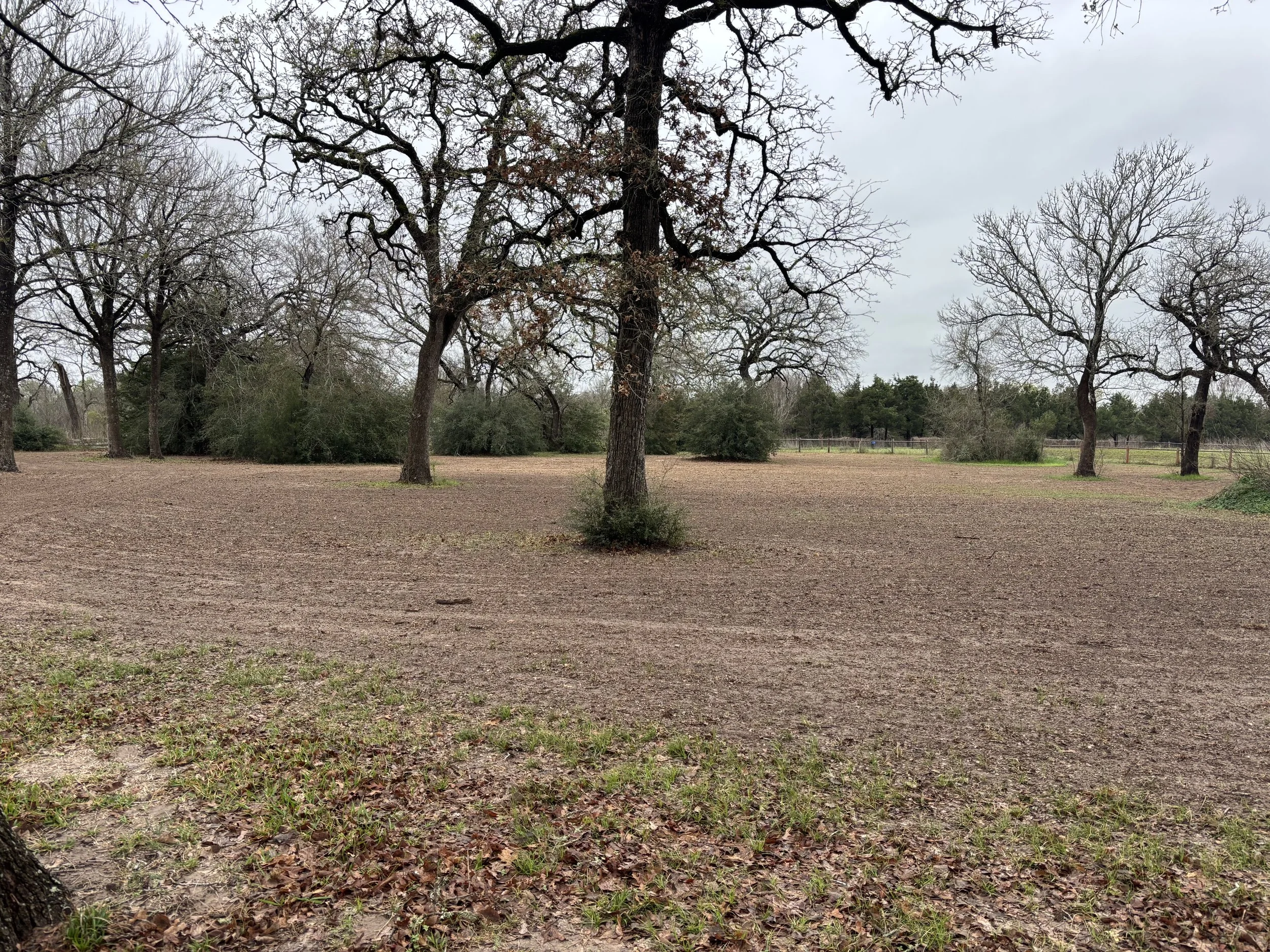 Land Clearing in Navasota