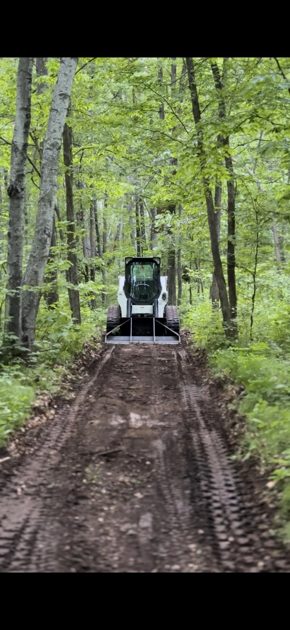 a bobcat skid loader clearing a woods trail