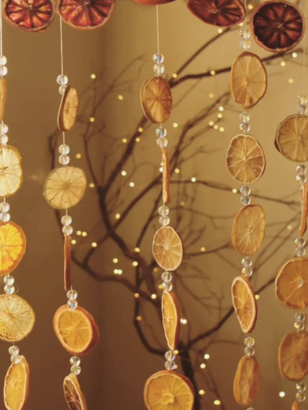Hanging dried lemon and orange slices with clear beads, with blurred string lights in the background.