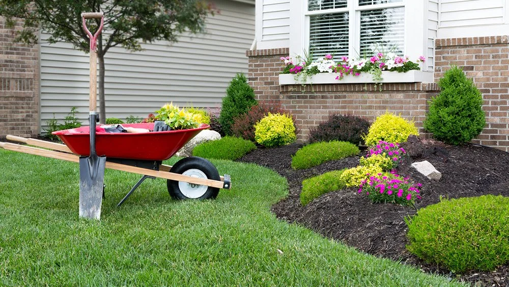 Full-Property Refresh Package