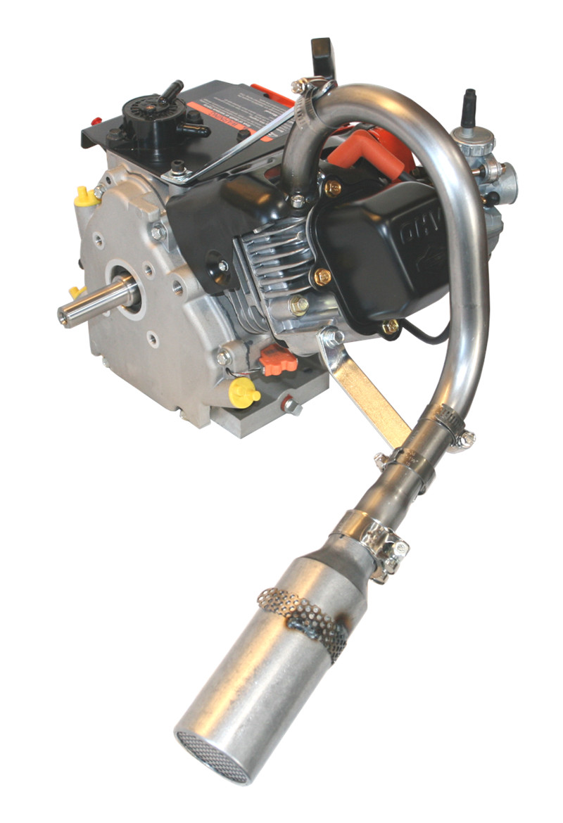 Briggs & Stratton LO206 Racing Engine