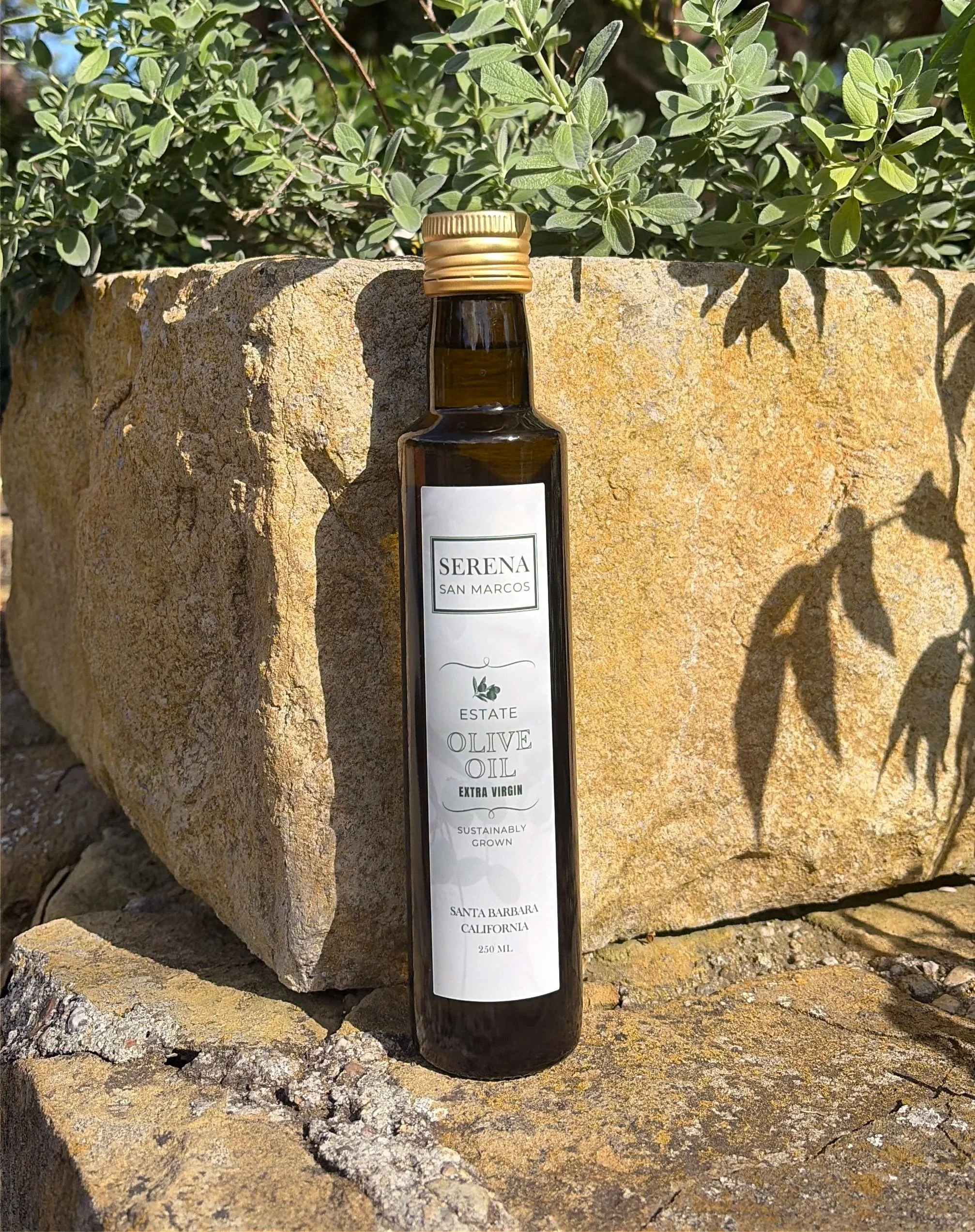 Estate Extra Virgin Olive Oil