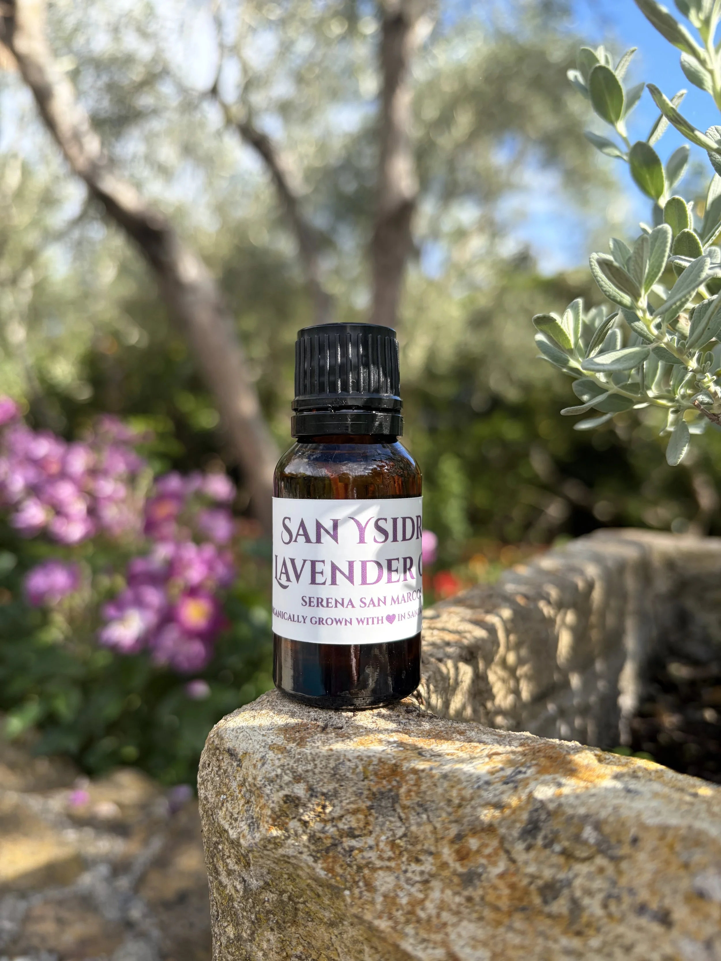 Lavender Oil
