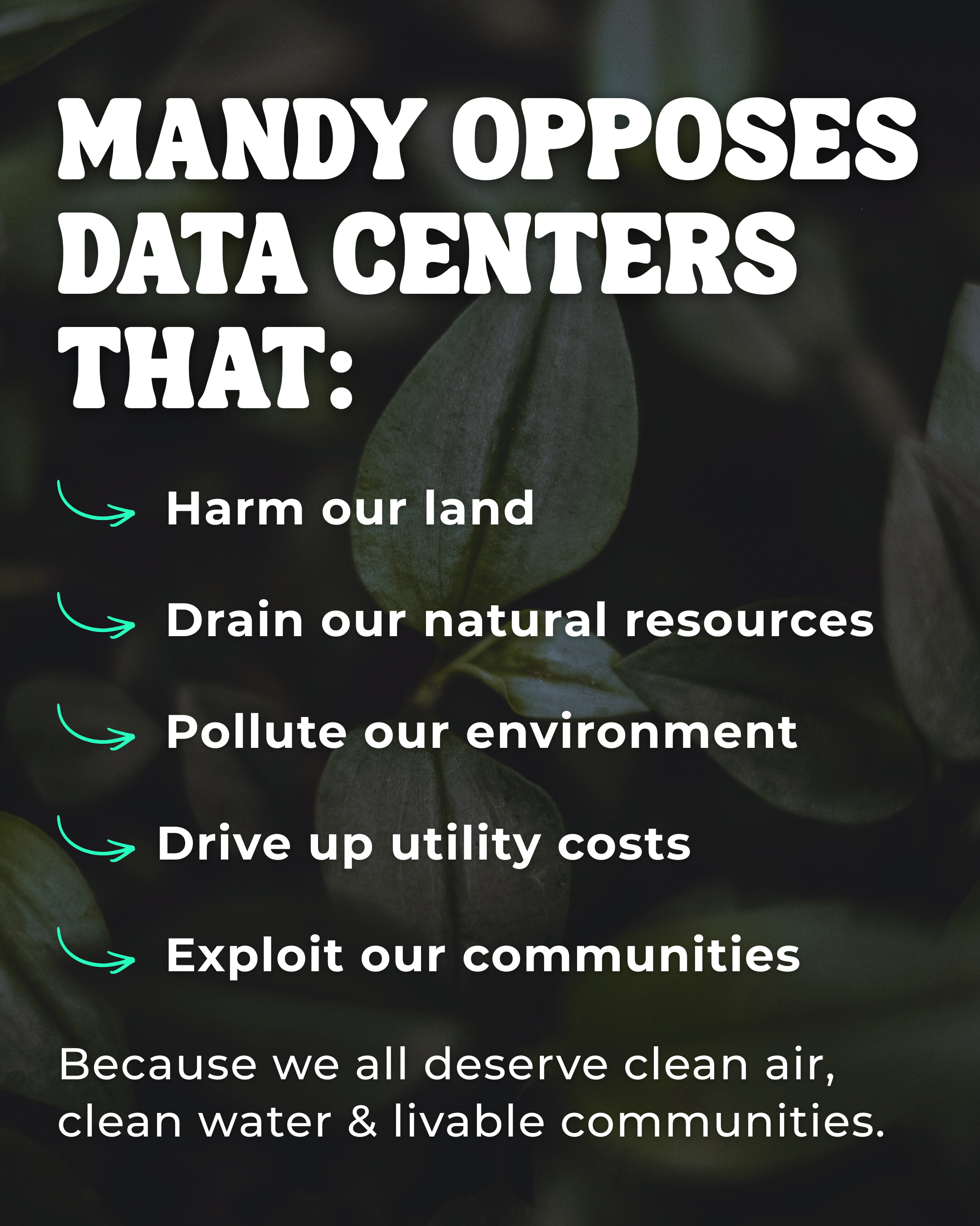 Graphic explaining that Mandy Cook opposes harmful and exploitative data centers