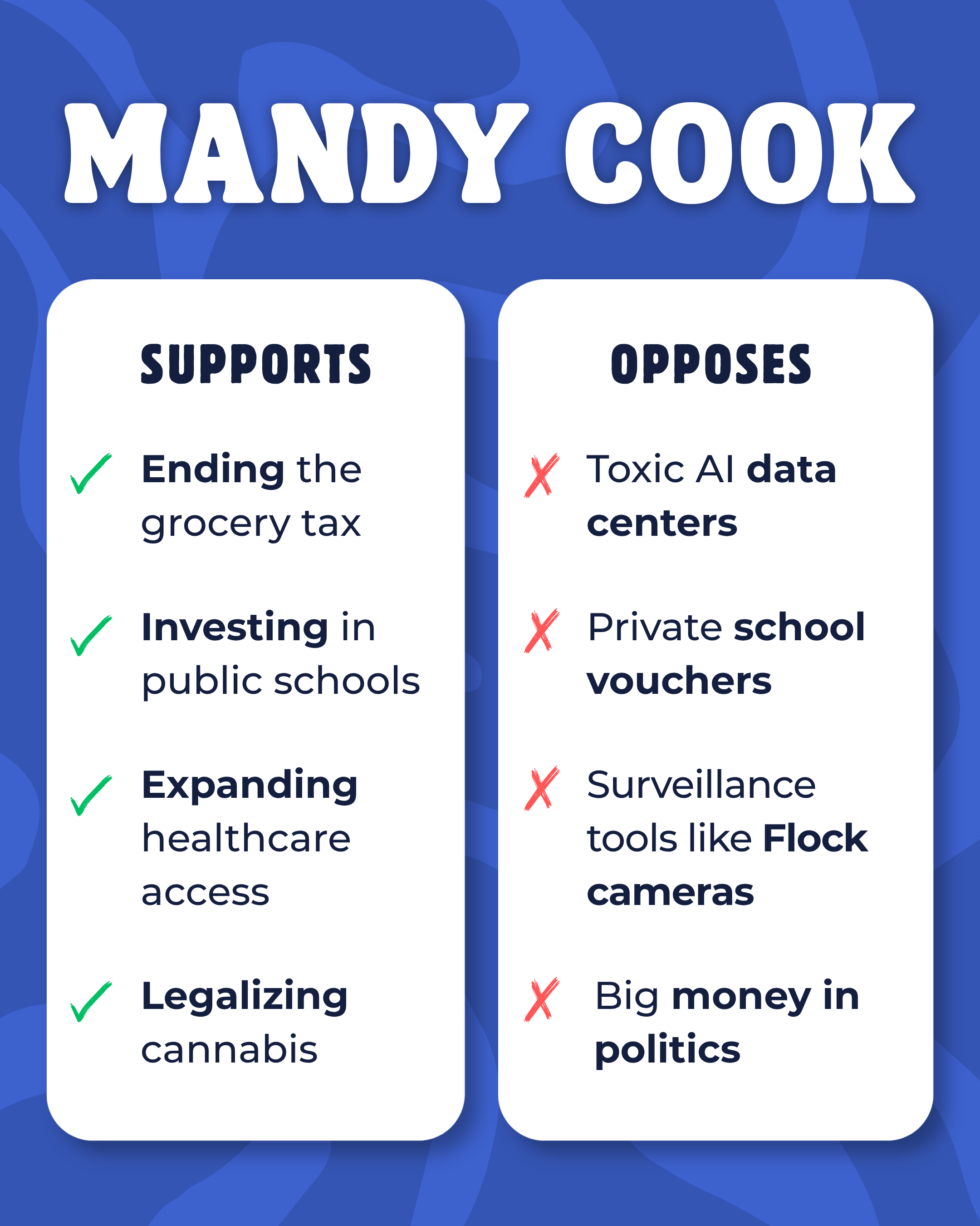 Graphic outlining Mandy's stance on key issues