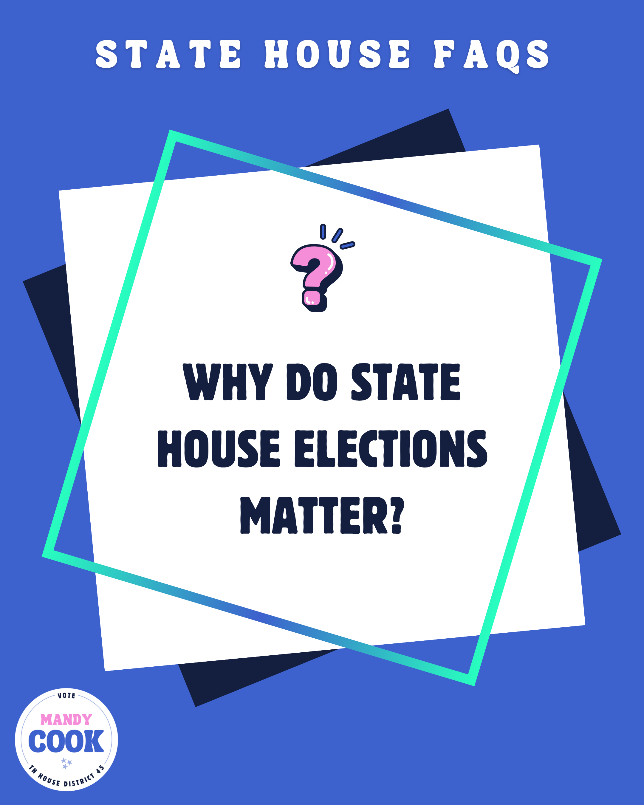 Graphic asking, Why Do State House Elections Matter?