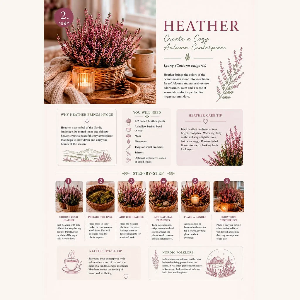 Heather.jpg