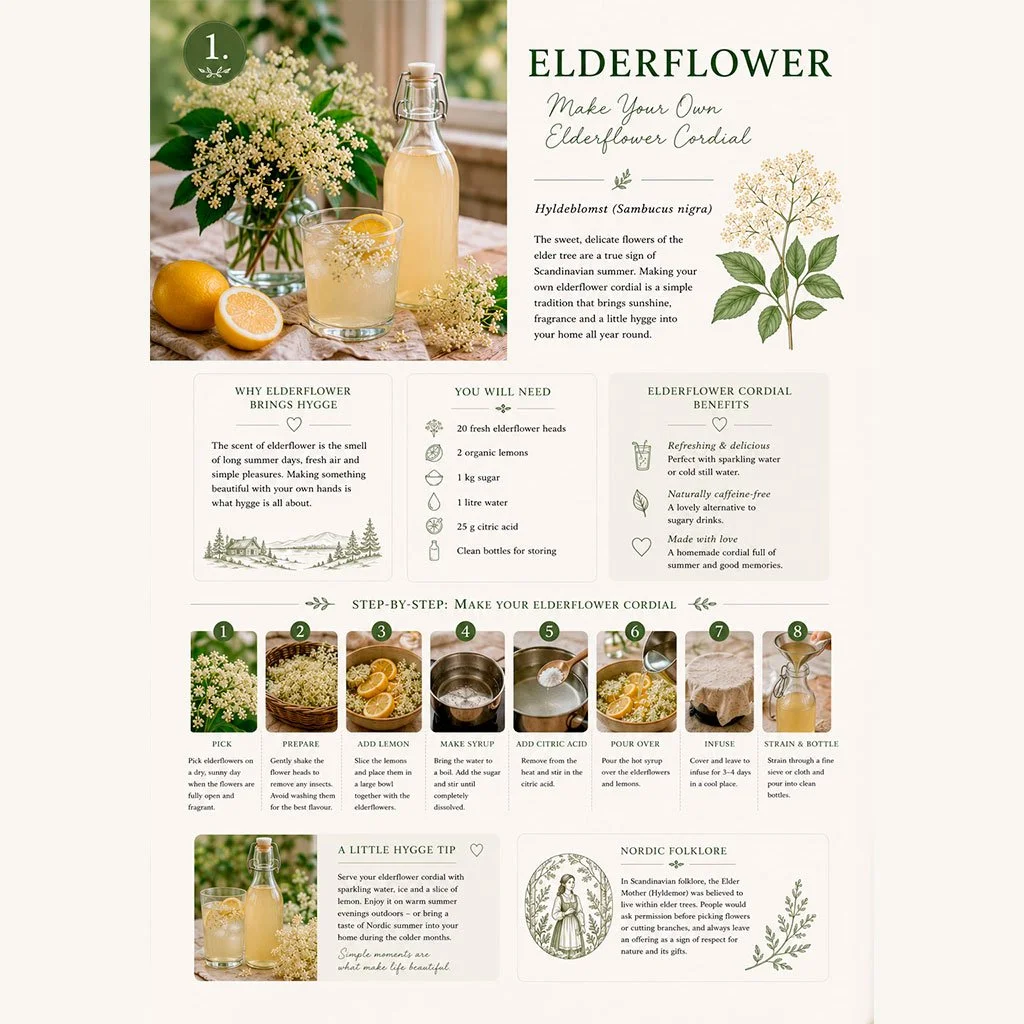 Elderflower.jpg
