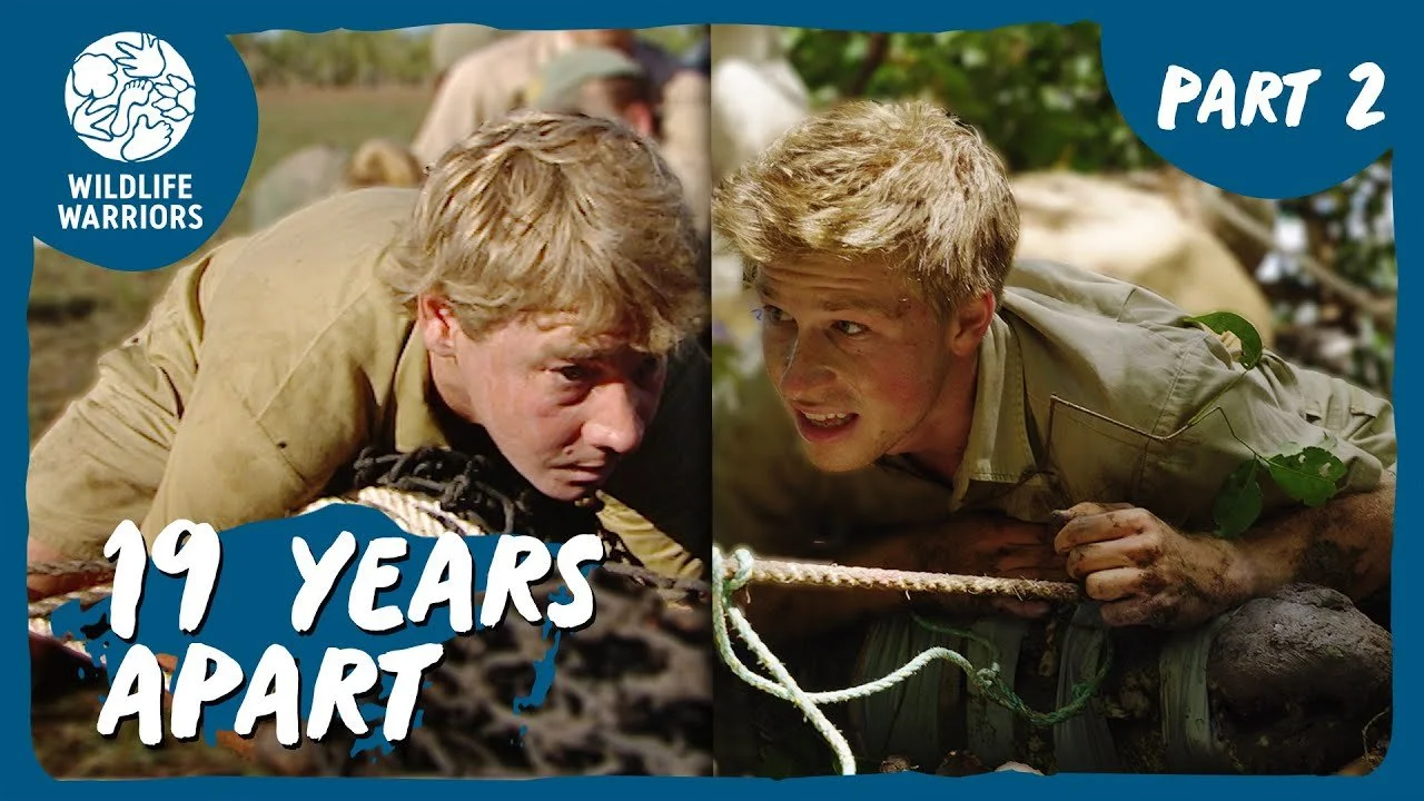 croc relocation thumbnail.jpg