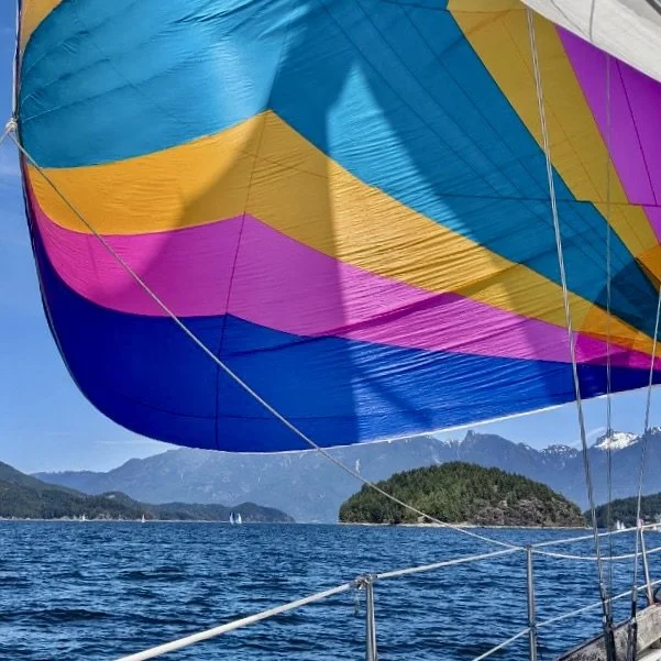 Pristine gennaker includes sock and sheets, with an open clutch available for the tack downhaul.