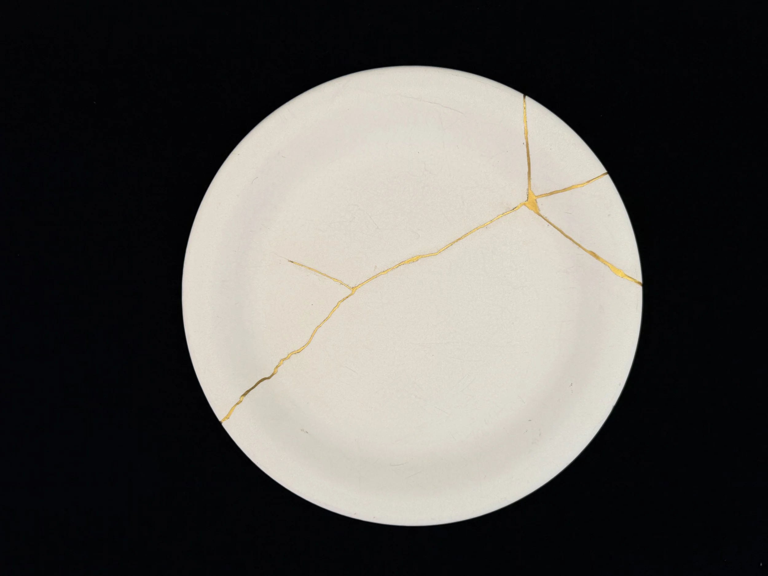 The second in a series of my own kitchen plates that my wonderful — though slightly clumsy — partner broke. This one cracked right in half, which gave me an opportunity to do a rather dramatic-looking repair. It's such a delight to eat off of!