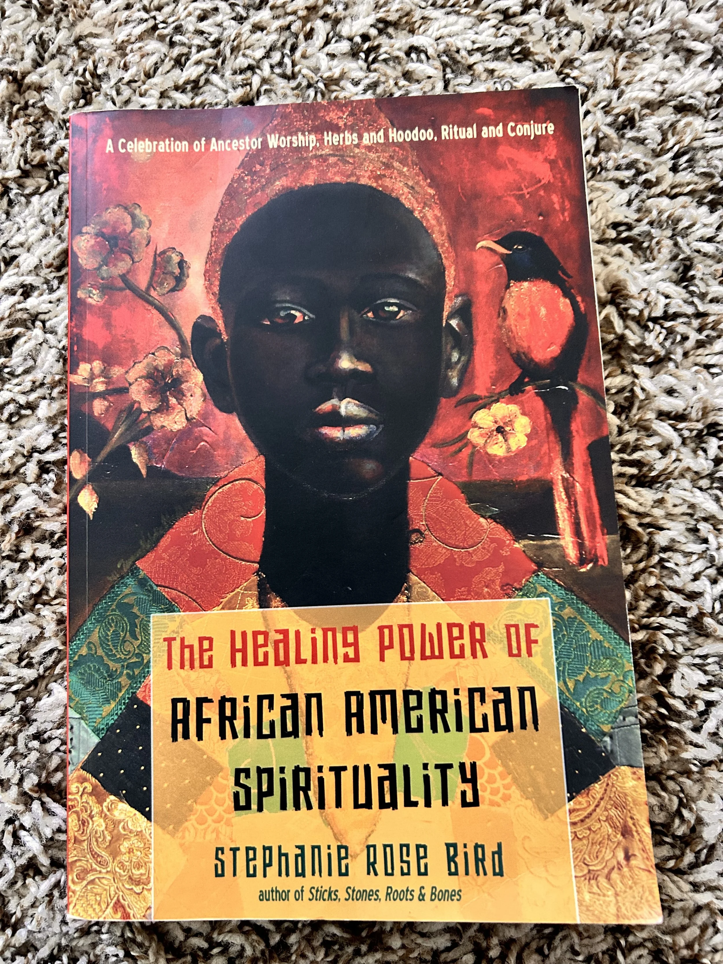 Examines the spiritual practices, resilience, and cultural traditions that have supported healing within African American communities.