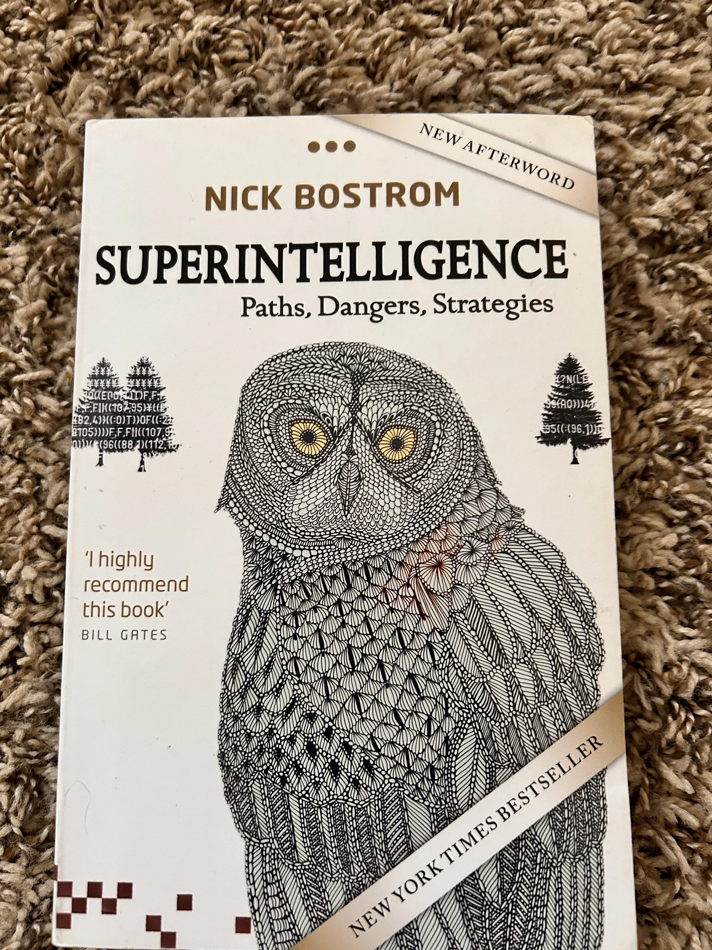 Examines the potential future of artificial intelligence and the profound questions it raises for humanity.