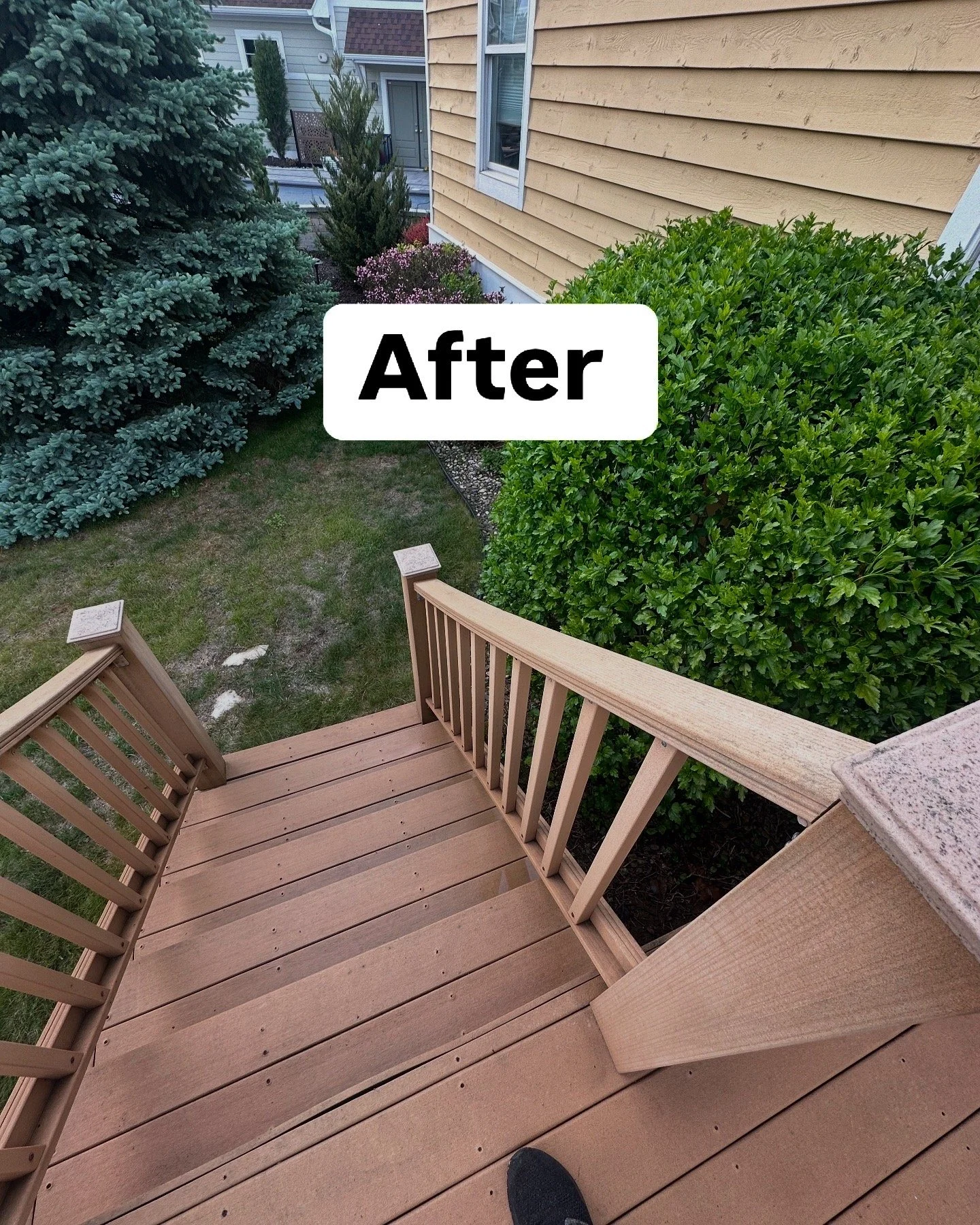 View of a wooden deck staircase leading down to a landscaped yard with bushes and trees, with a house in the background, labeled 'After'.