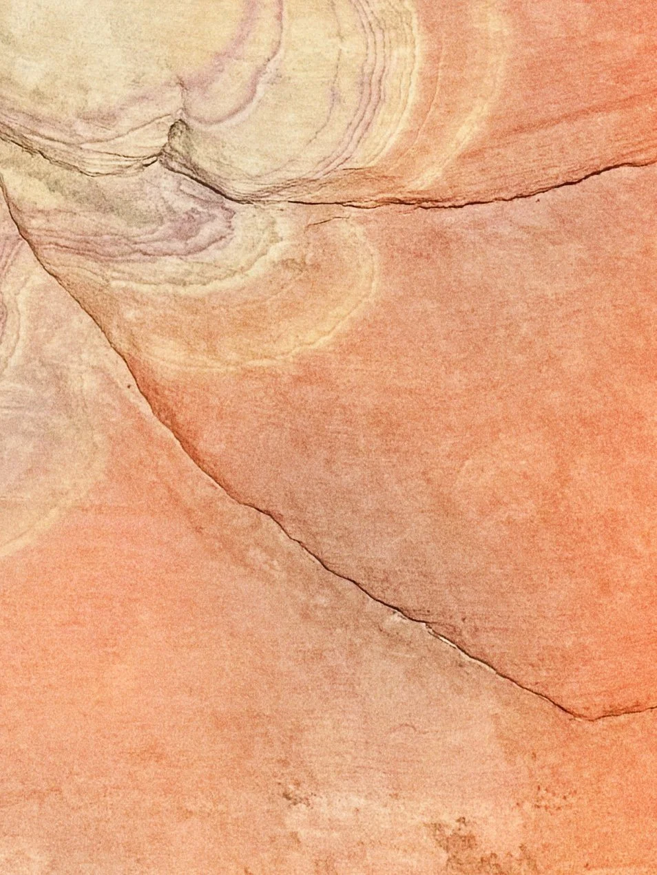 Nevada Desert Orange-detail.jpg