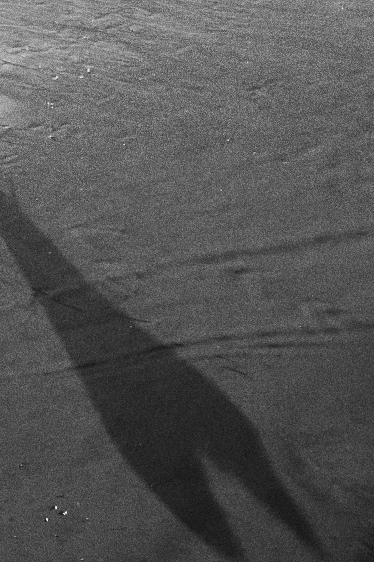 California Love-detail.jpg
