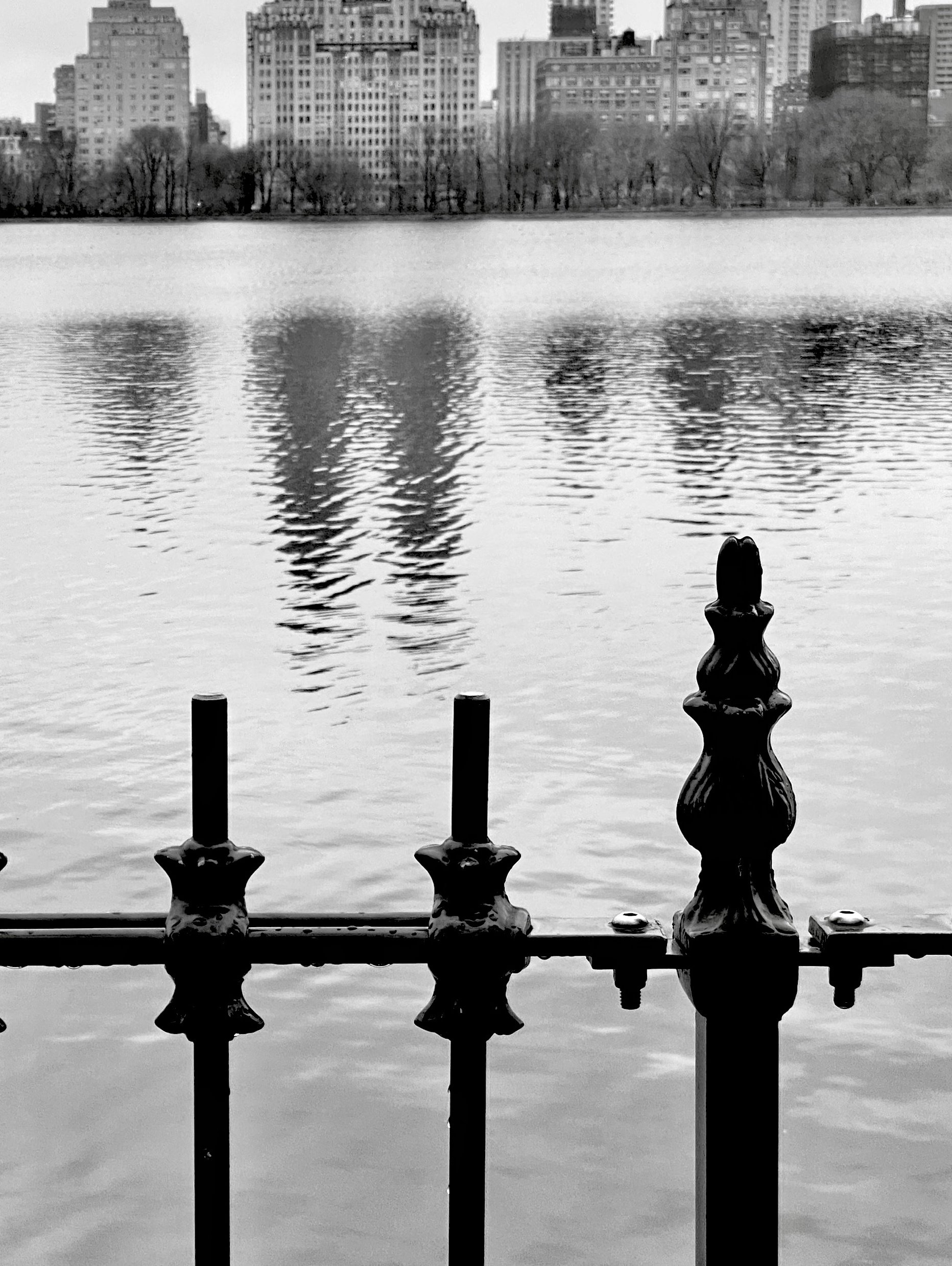 Central Park-detail.jpg