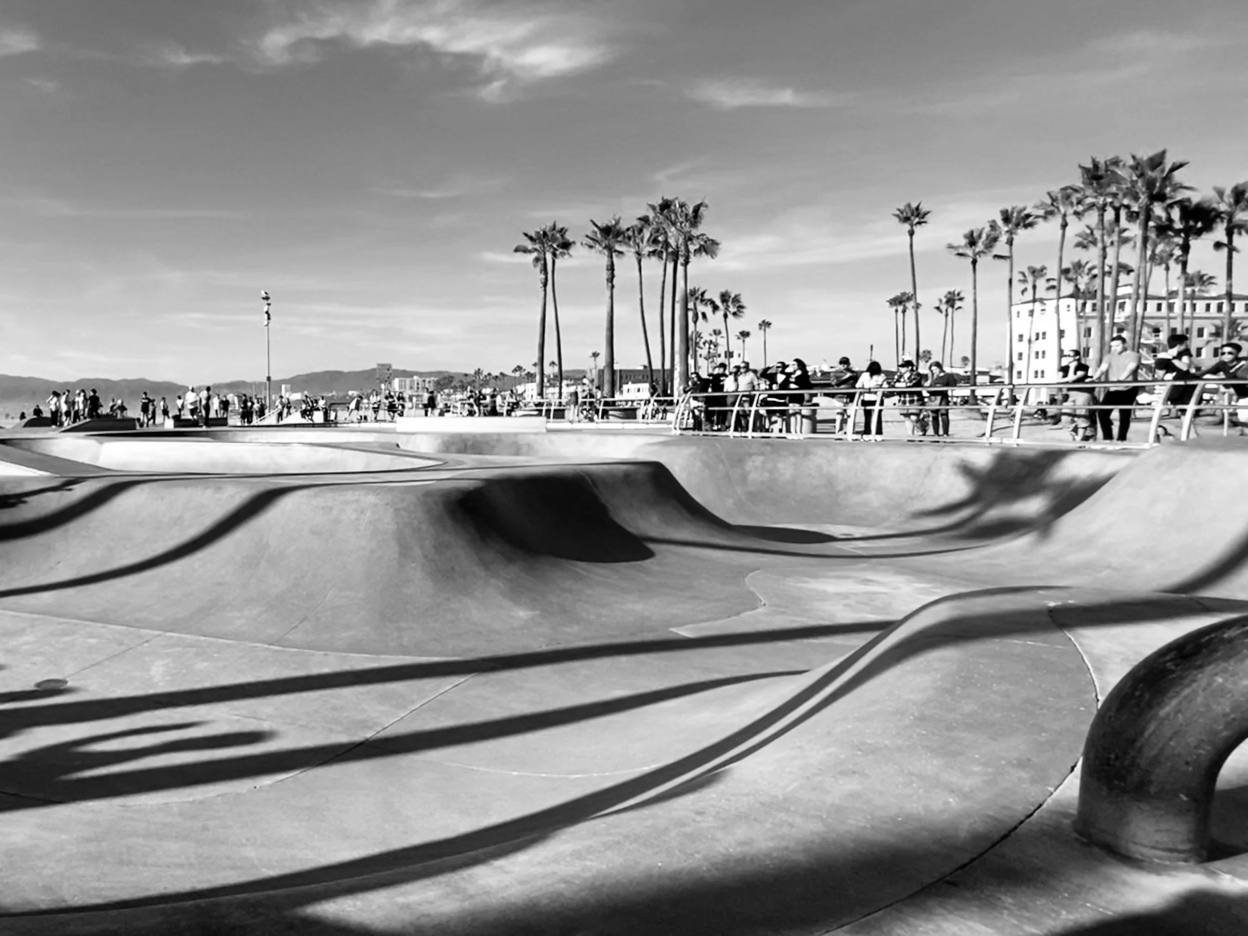 Learning To Fly - Venice Beach-detail.jpg