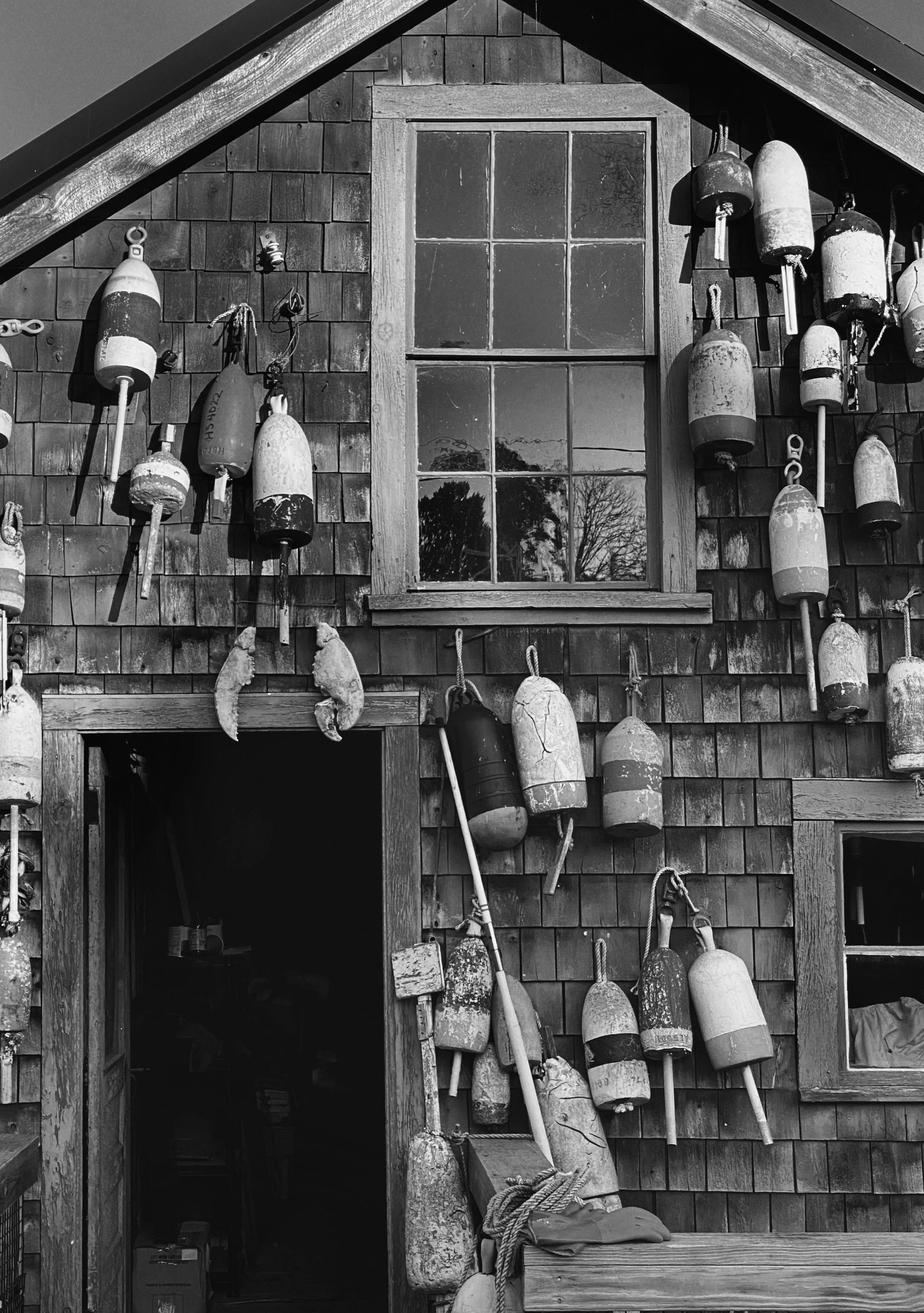 Maine-full.jpg