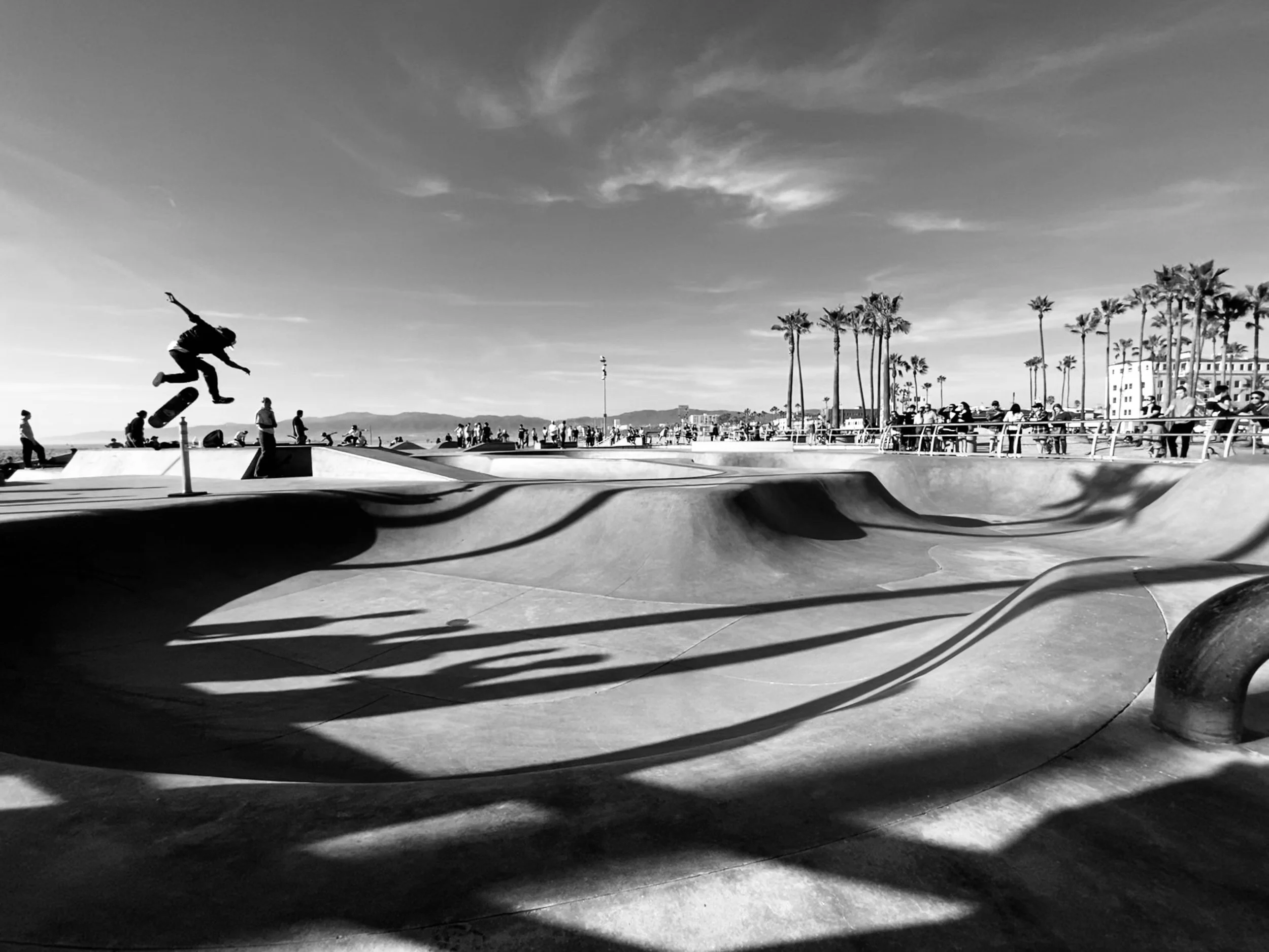 Learning To Fly - Venice Beach-full.jpg