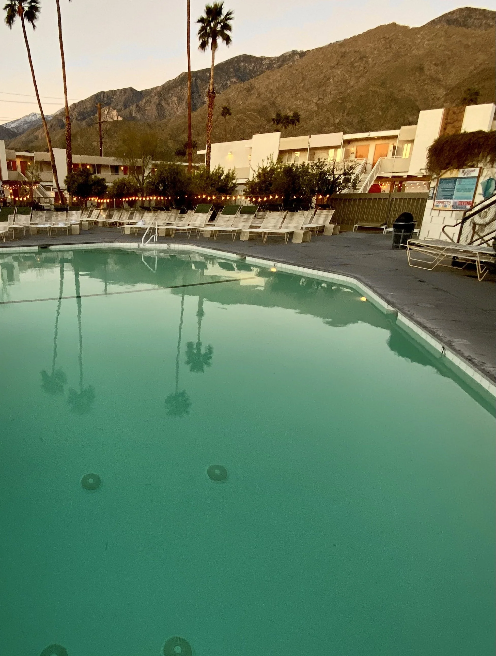 Palm Springs Reflections-detail.jpg