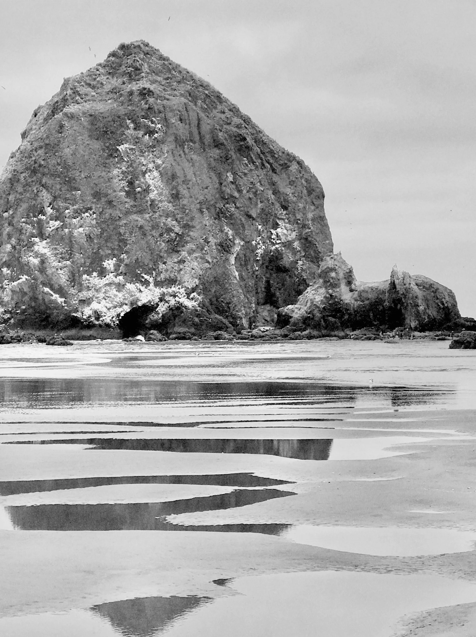 Reflecting on Cannon Beach-detail.jpg