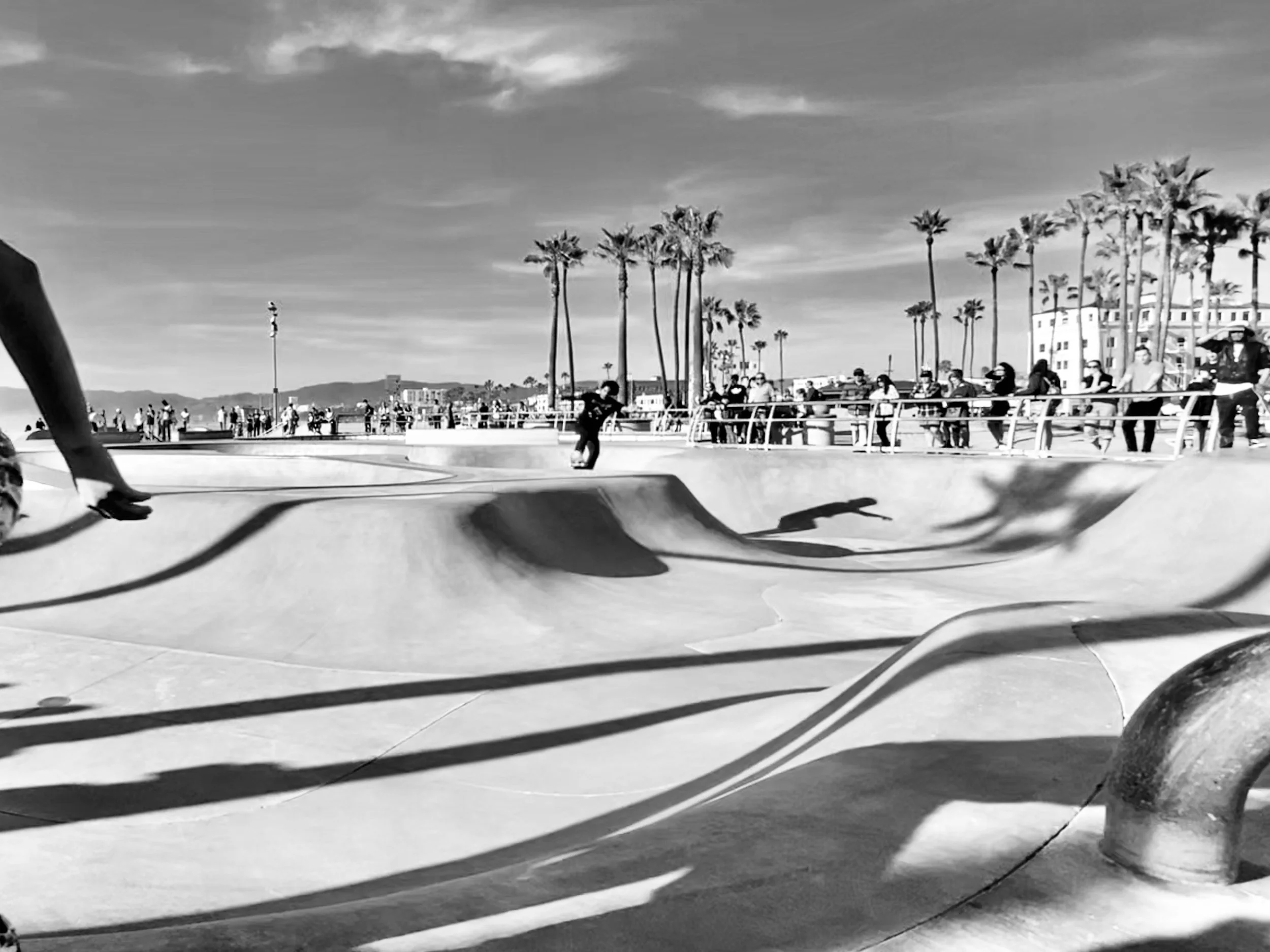 Venice Beach in Black and White-detail.jpg