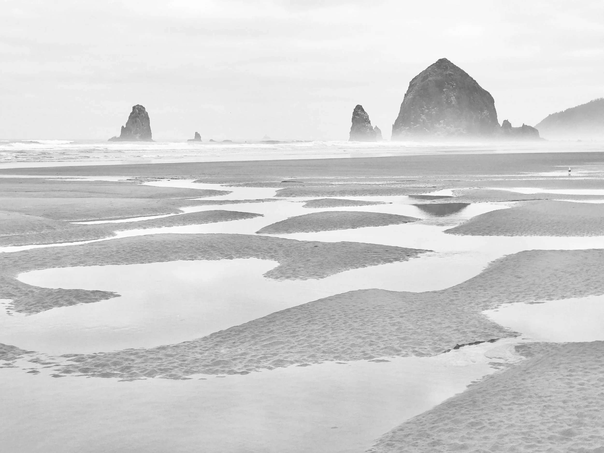 Cannon Beach Reflections-full.jpg