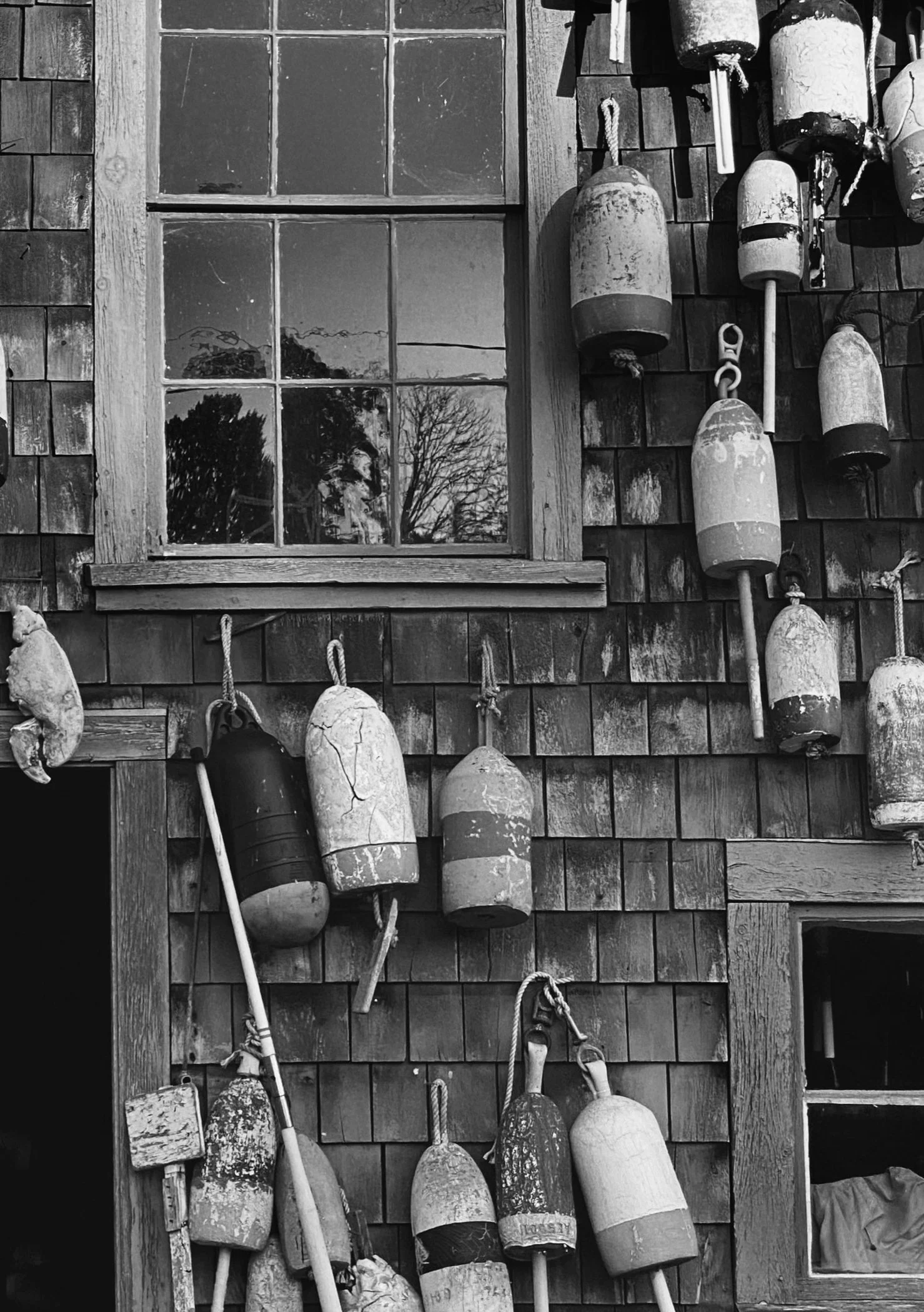 Maine-detail.jpg