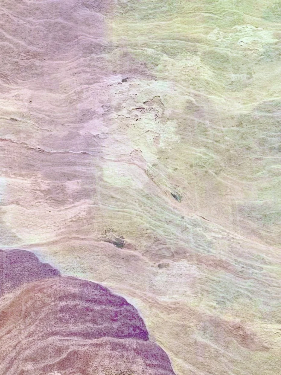 Nevada Desert Purple-detail.jpg