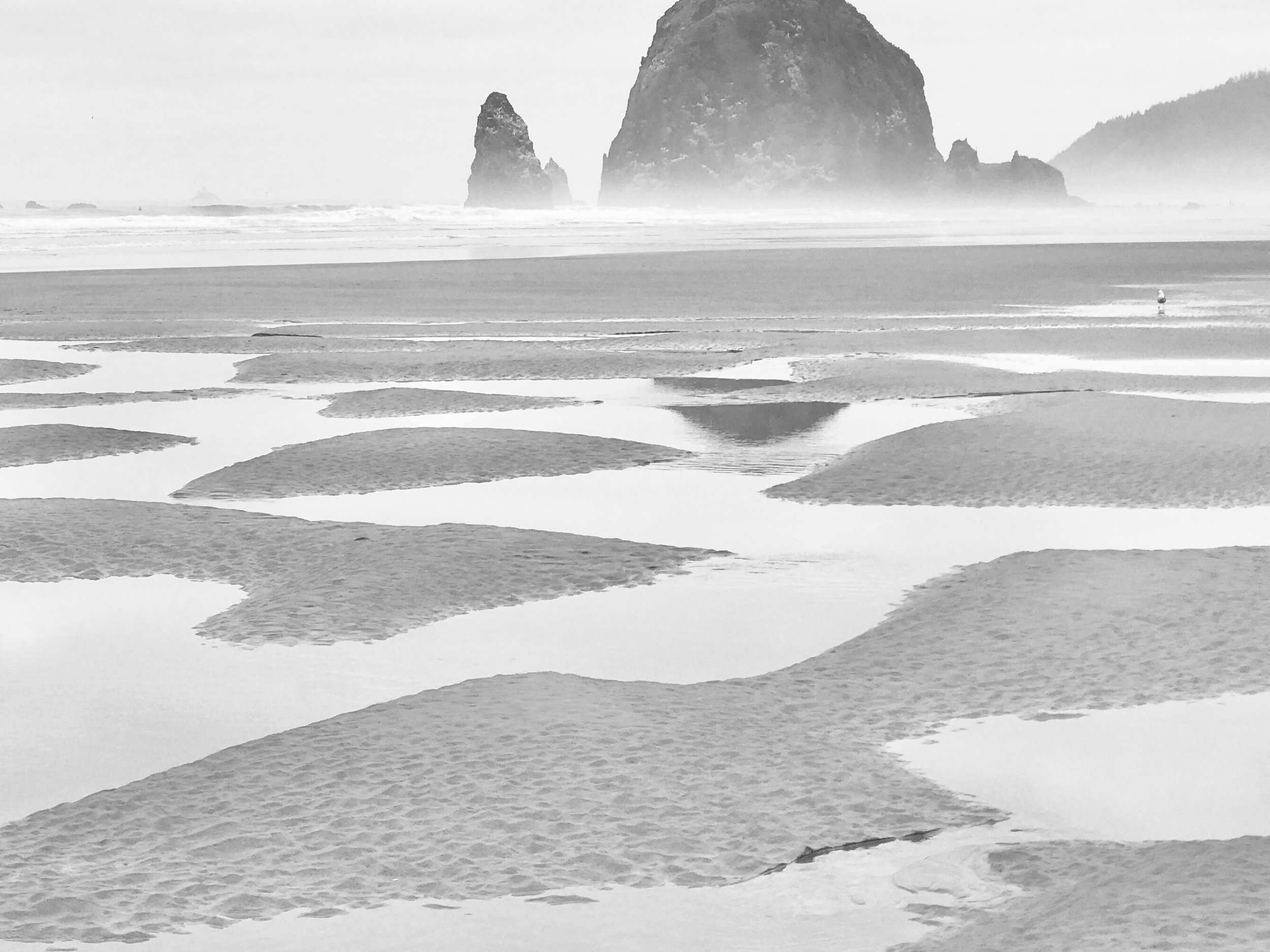 Cannon Beach Reflections-detail.jpg
