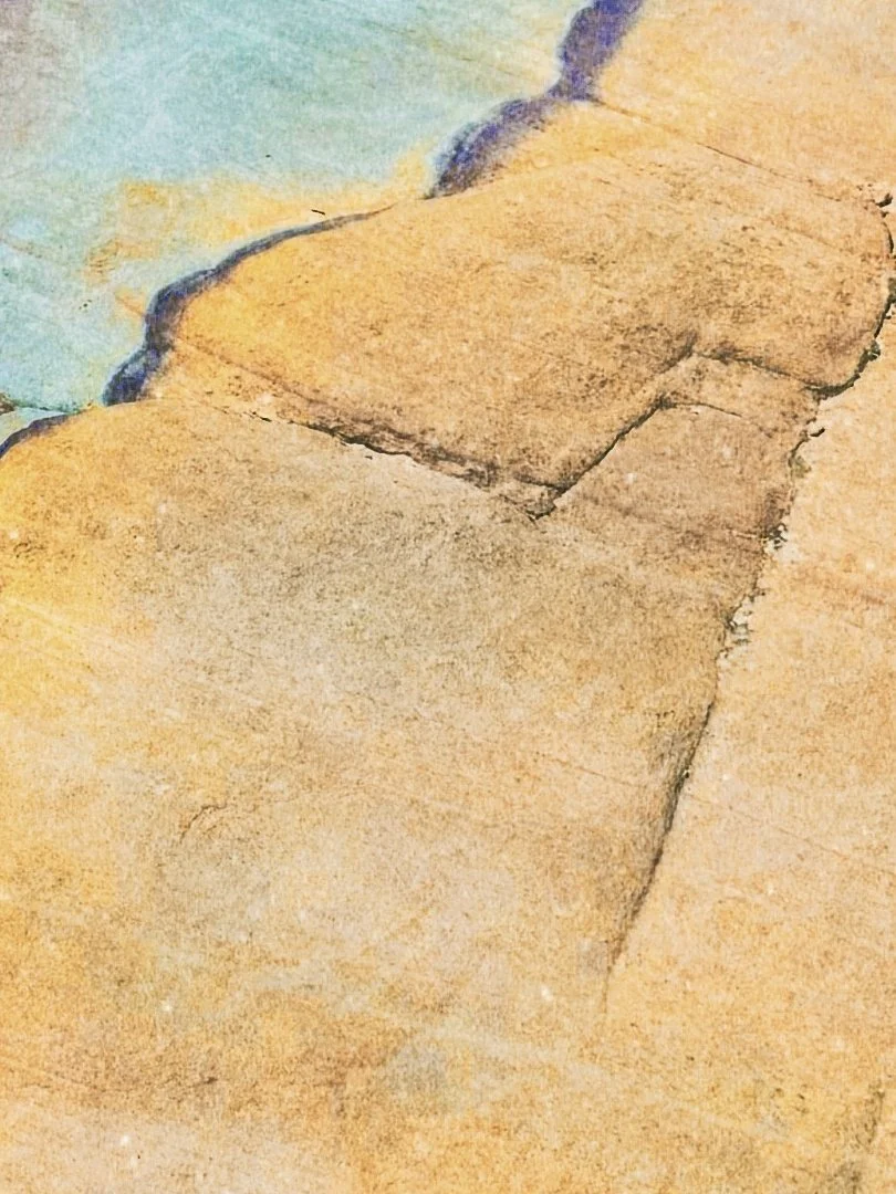Nevada Desert Yellow-detail.jpg