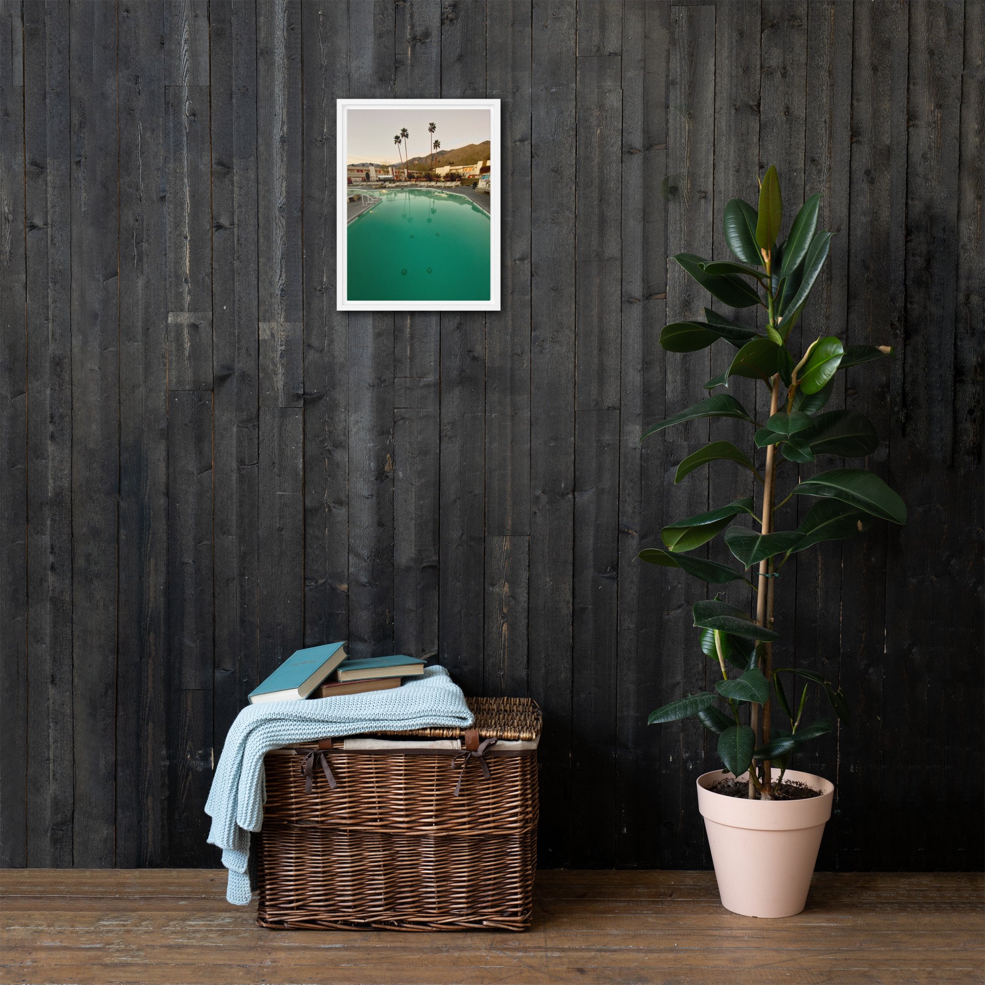 Palm Springs Reflections-insitu.jpg