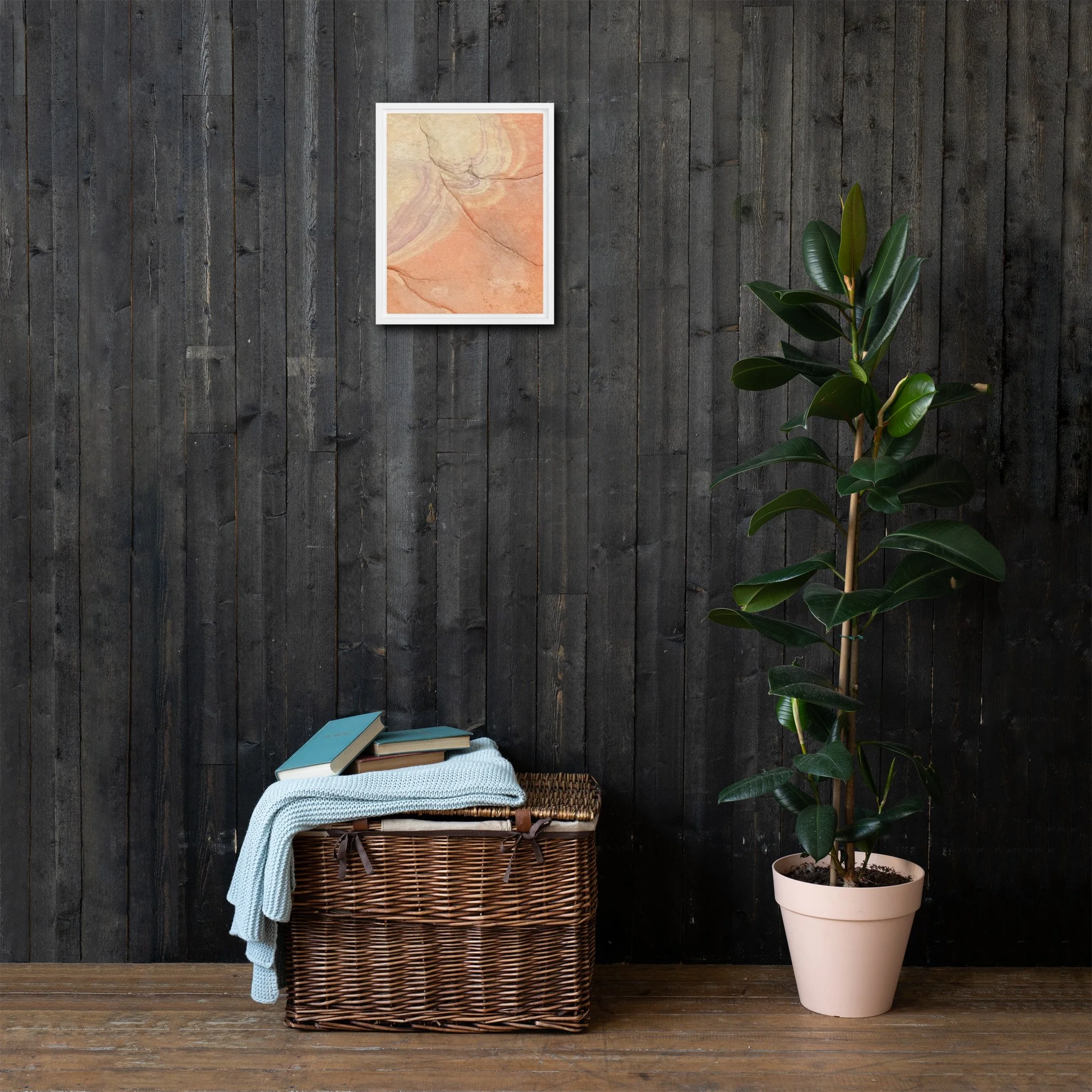 Nevada Desert Orange-insitu.jpg
