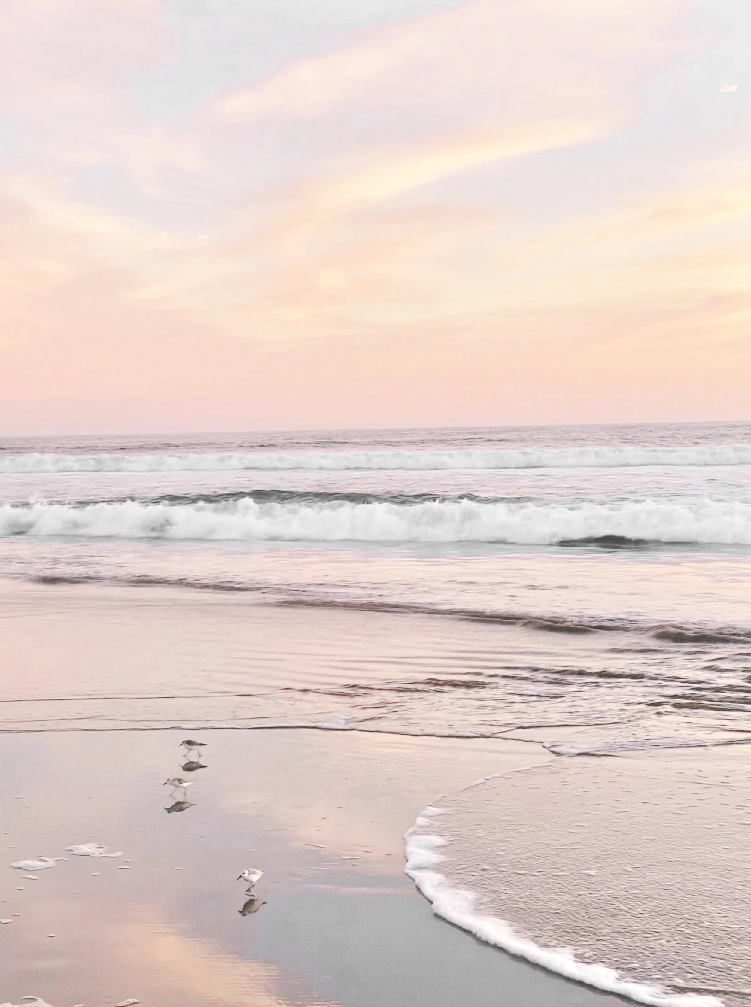 Pink Sunset, California-full.jpg