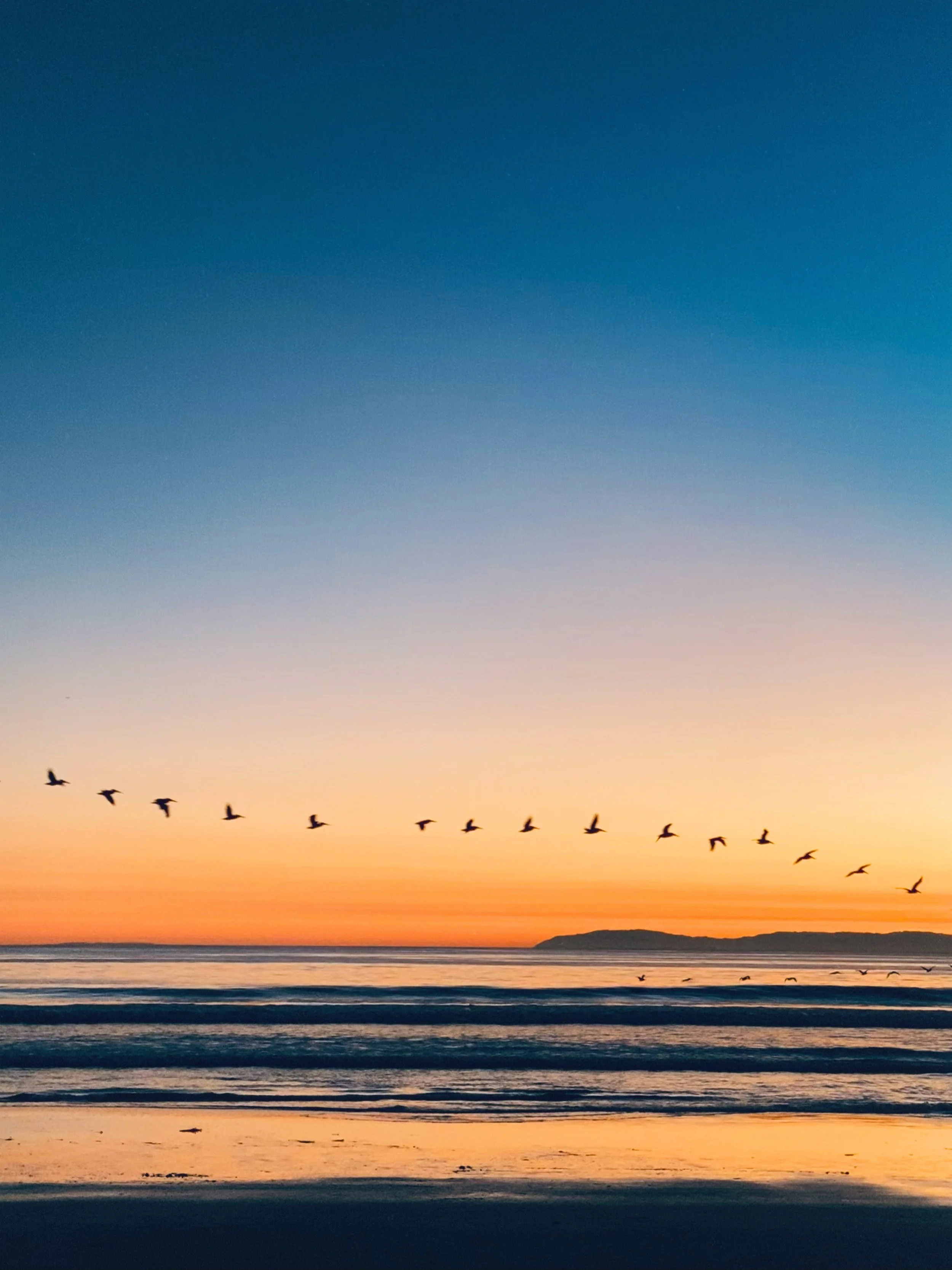 Sunset Zoetrope-full.jpg