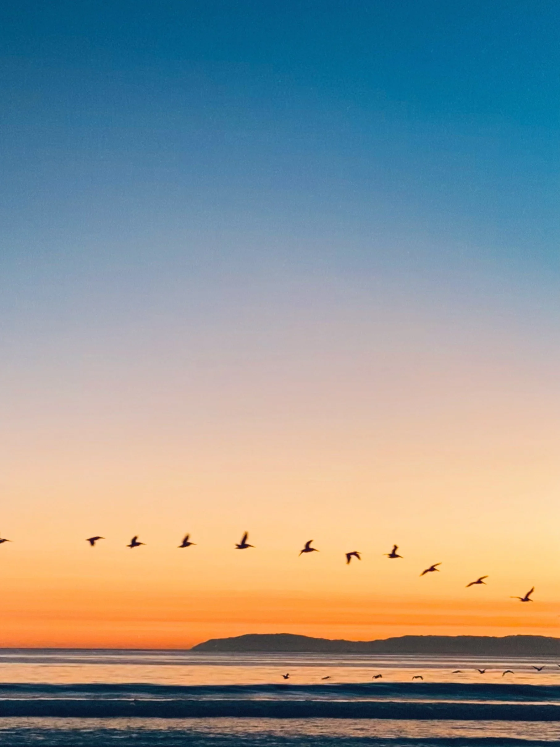 Sunset Zoetrope-detail.jpg