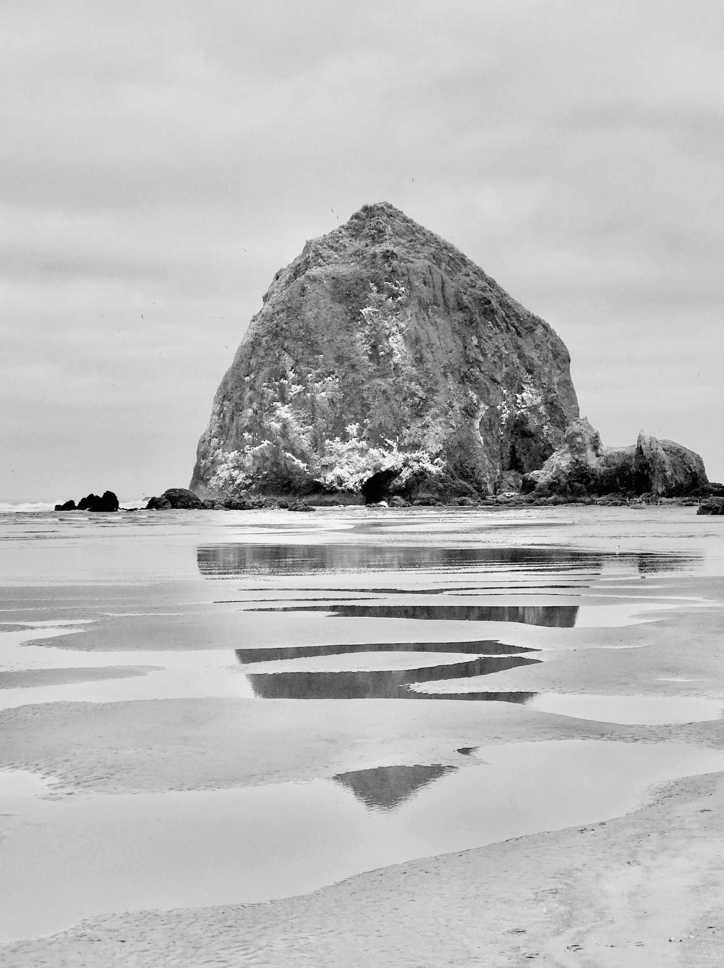 Reflecting on Cannon Beach-full.jpg