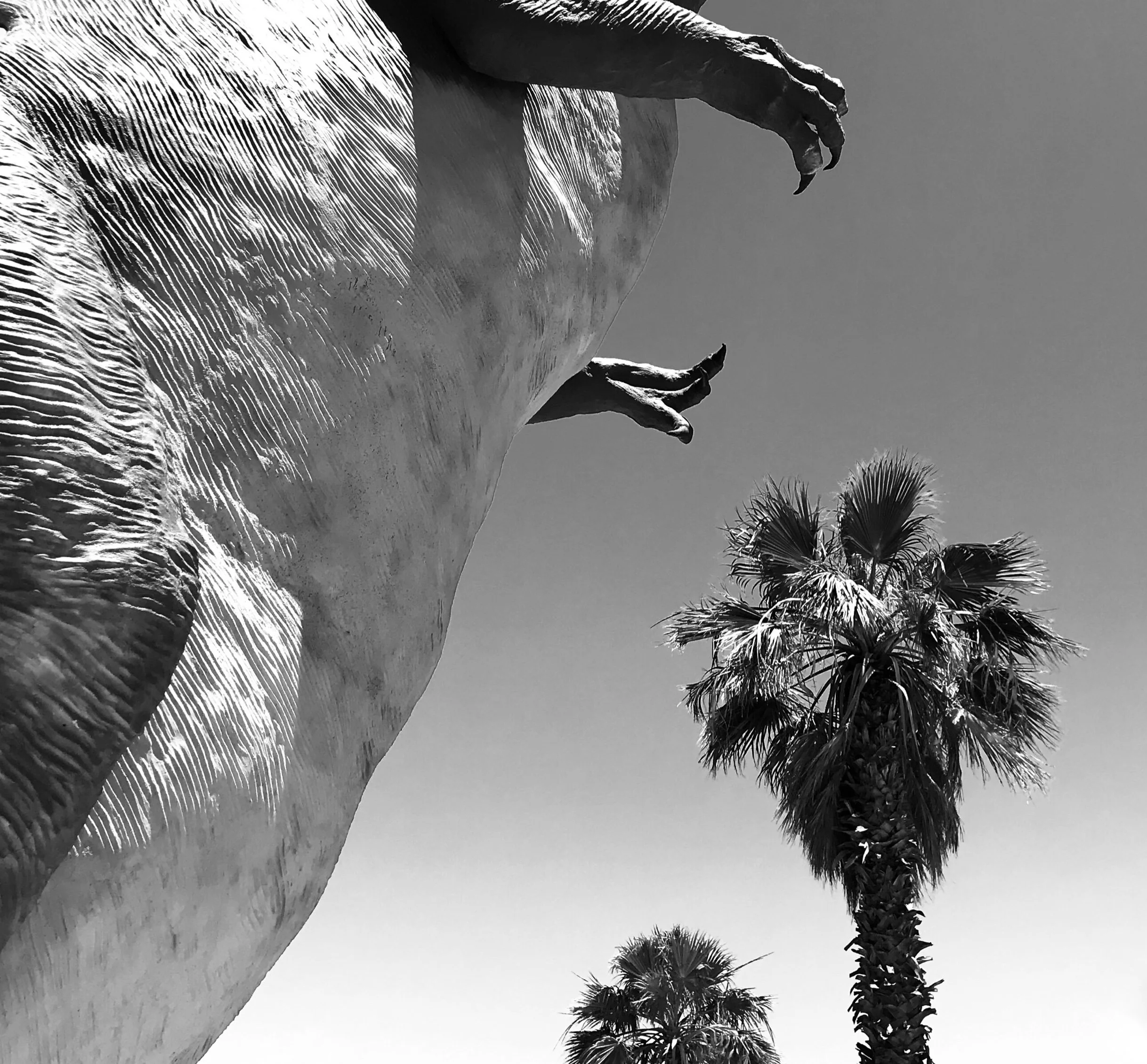 Cabazon California-full.jpg