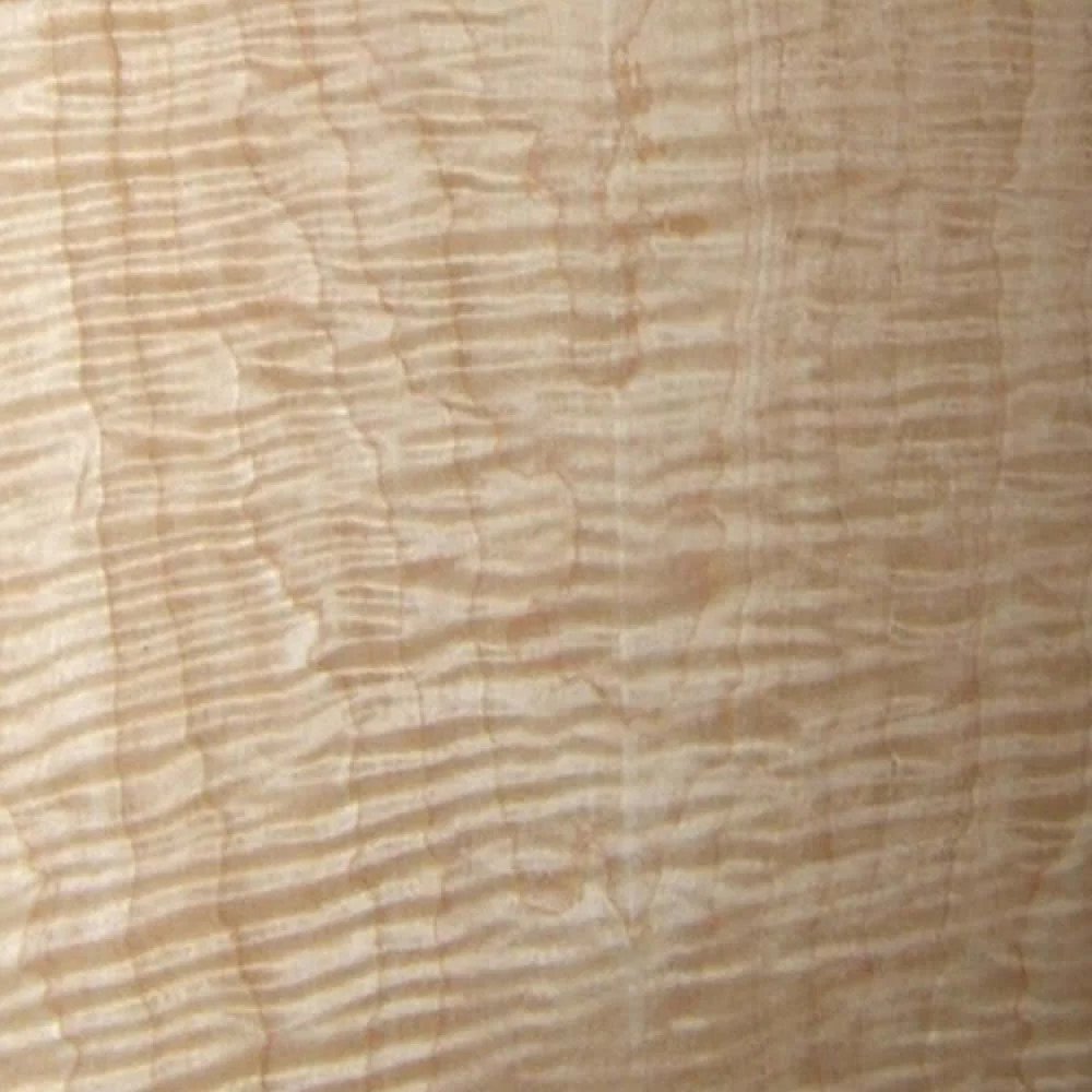Figured Maple