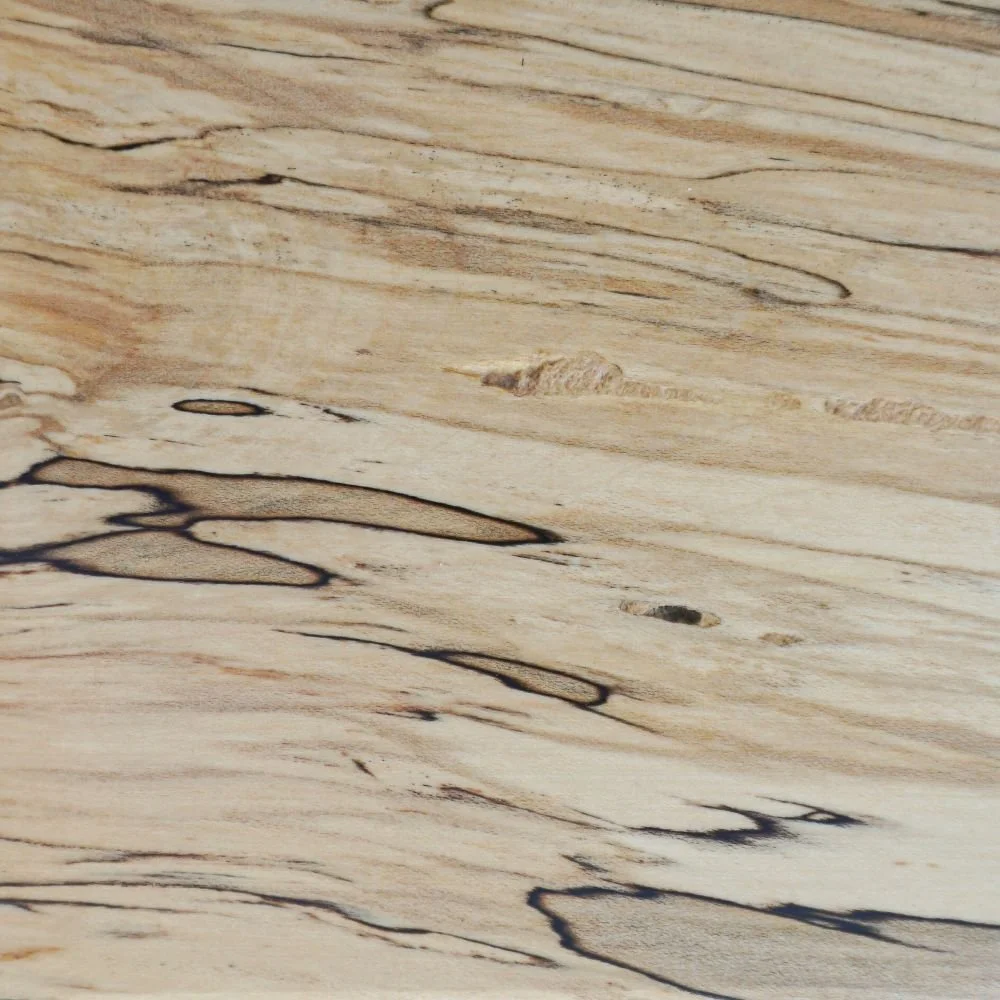 Spalted Maple