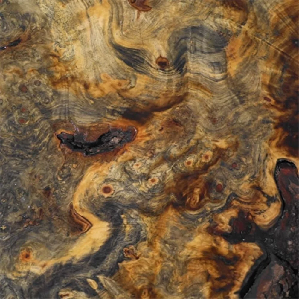 Buckeye Burl