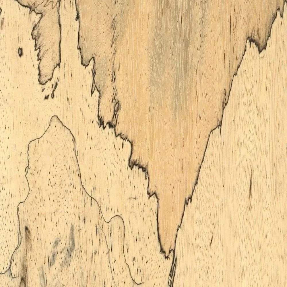 Spalted Tamarind
