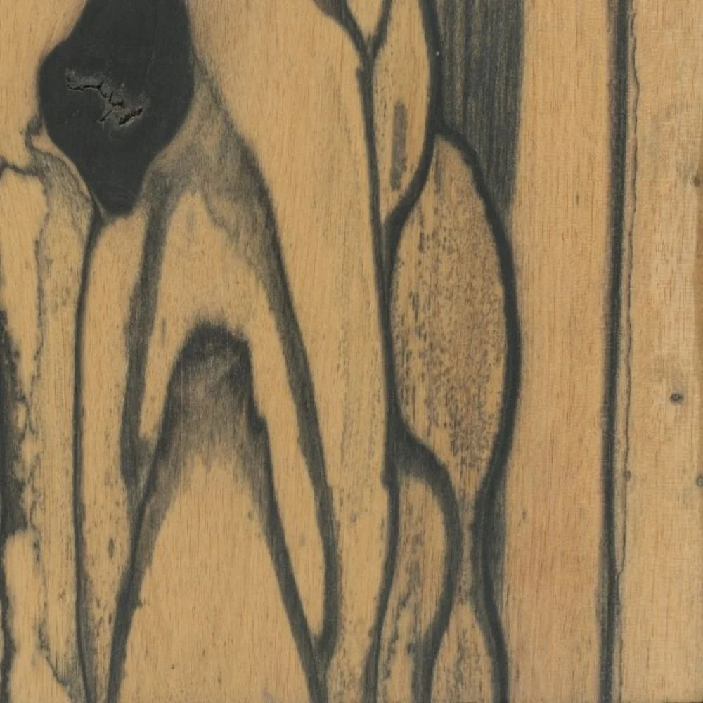 Pale Moon Ebony